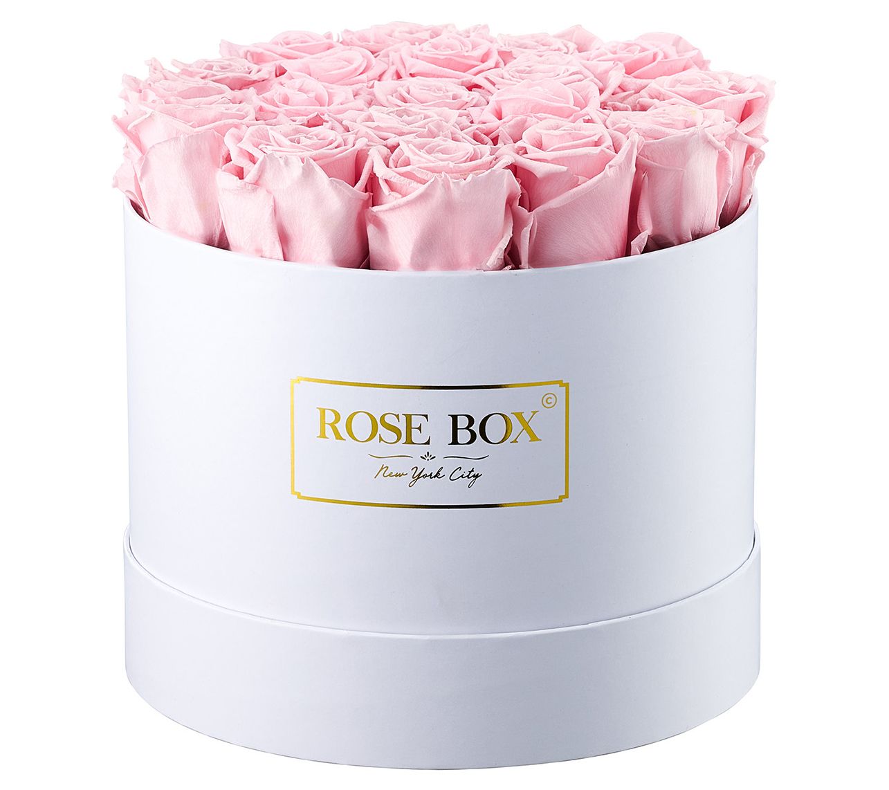 Rose Box Preserved Roses - Medium White Box