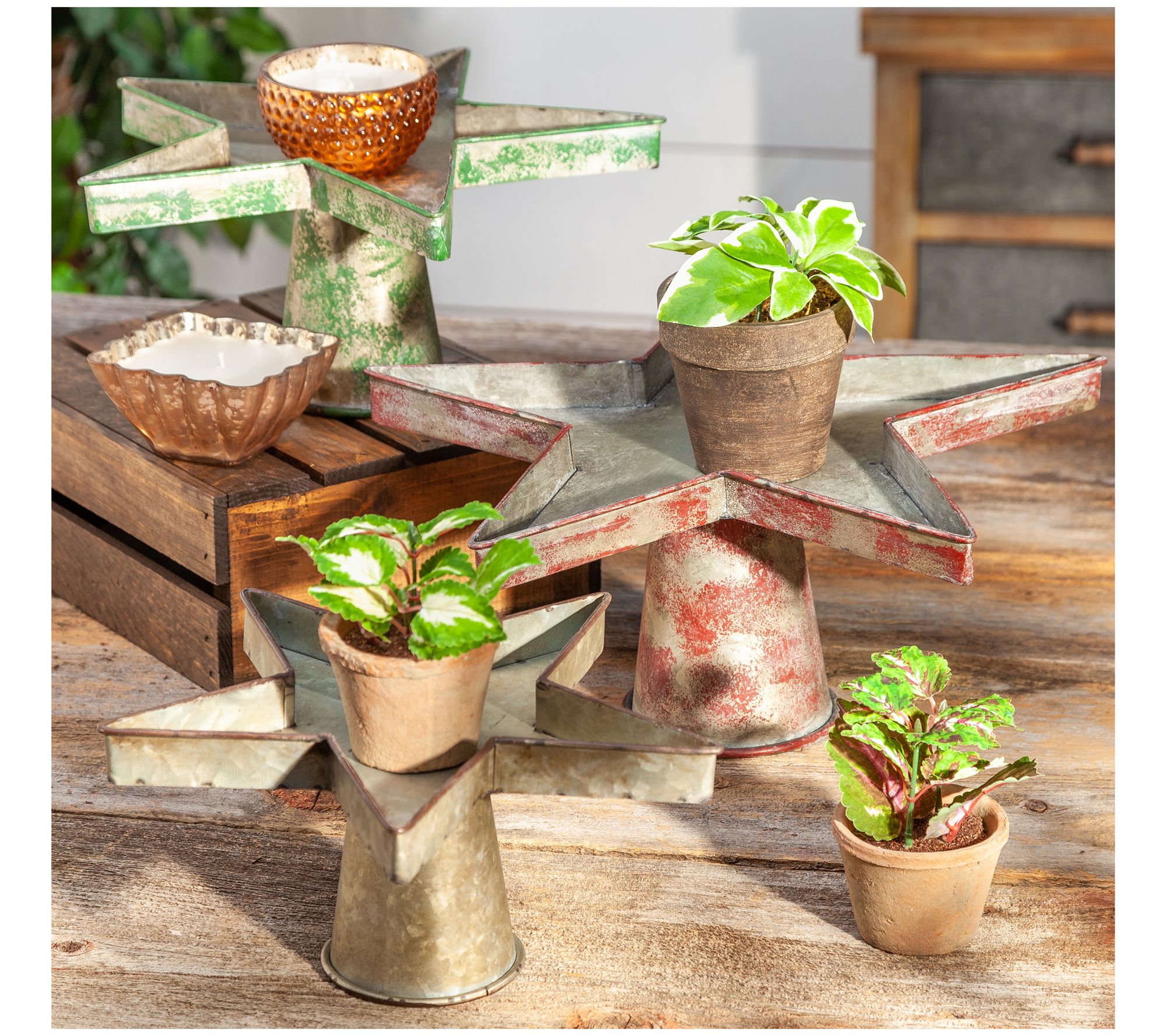 Set of 3 Metal Star Plant Stands by Gerson International