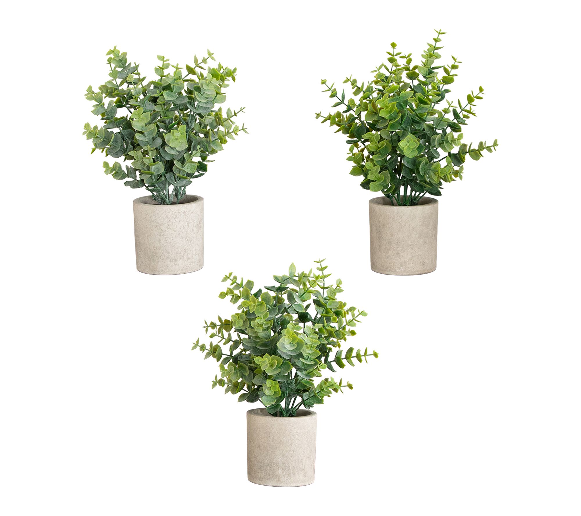 Eucalyptus Plants in Planters - Set of 3 by Nearly Natural