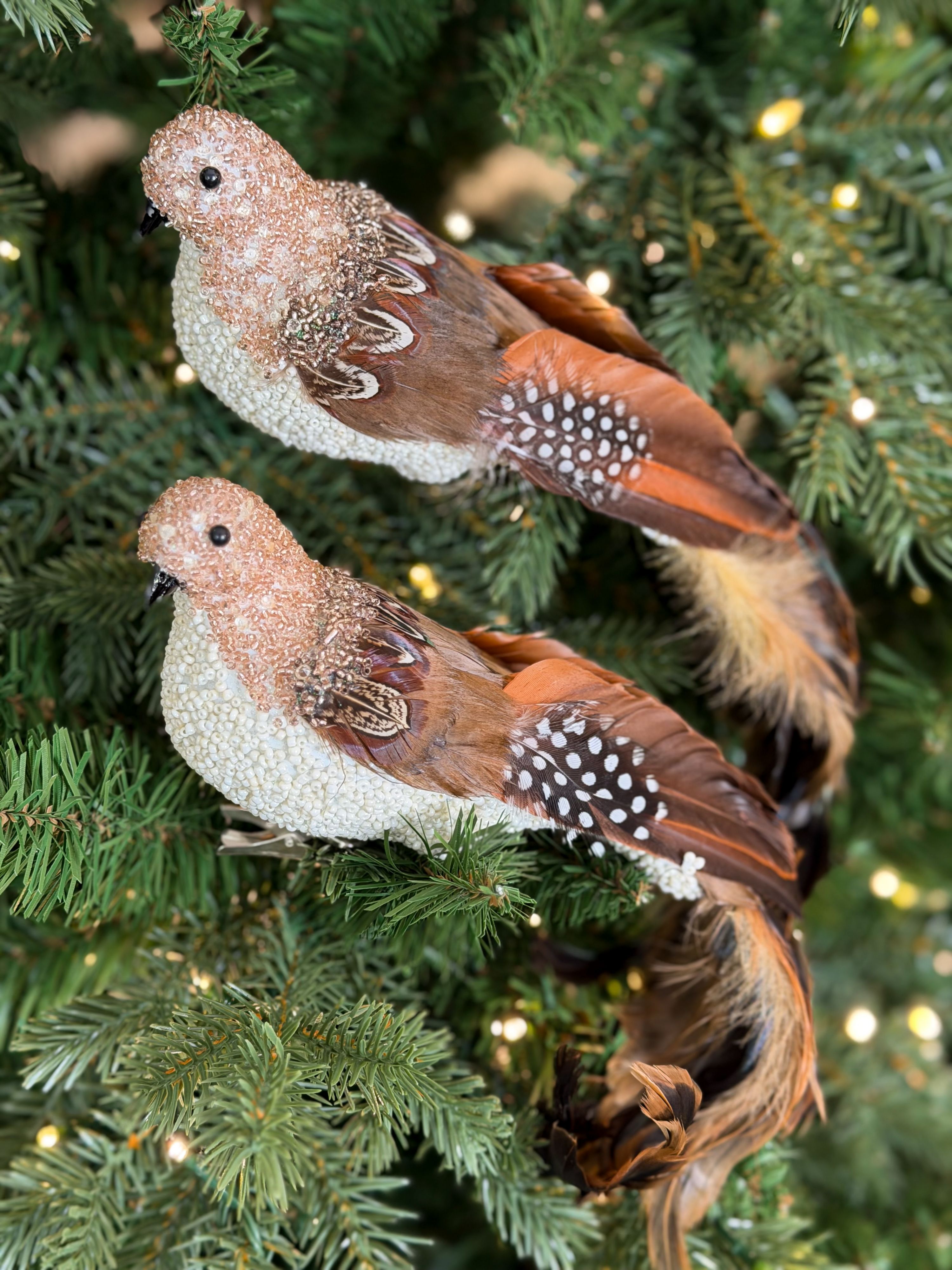 Simply Stunning Set of 2 Winter Finch Ornament Clips by Janine Graff