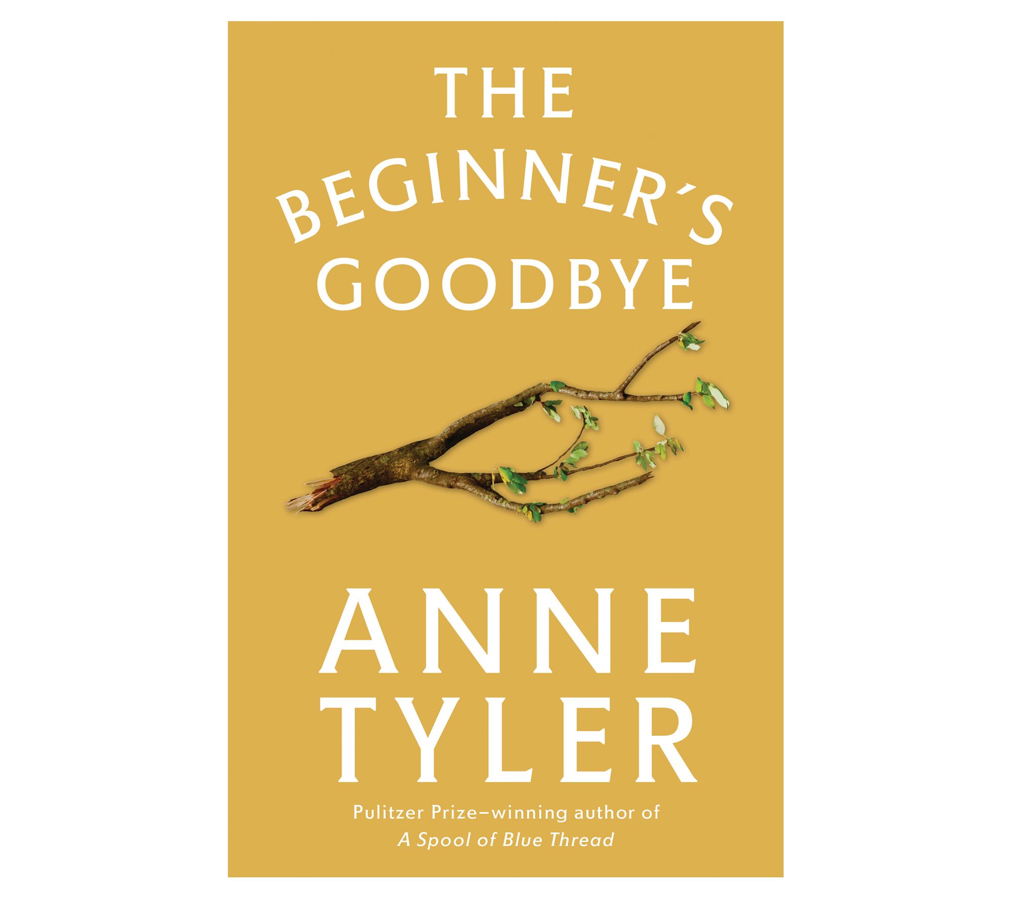 The Beginner's Goodbye by Anne Tyler