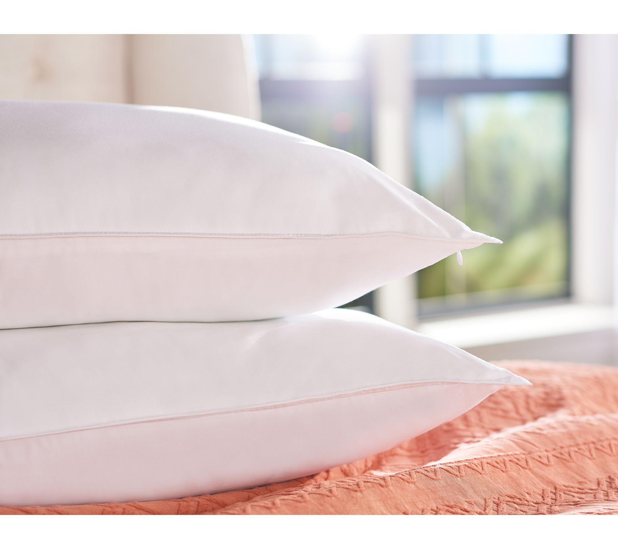 Northern Nights Hotel Luxury S/2 Pillows w/ SILVERbac Protectors