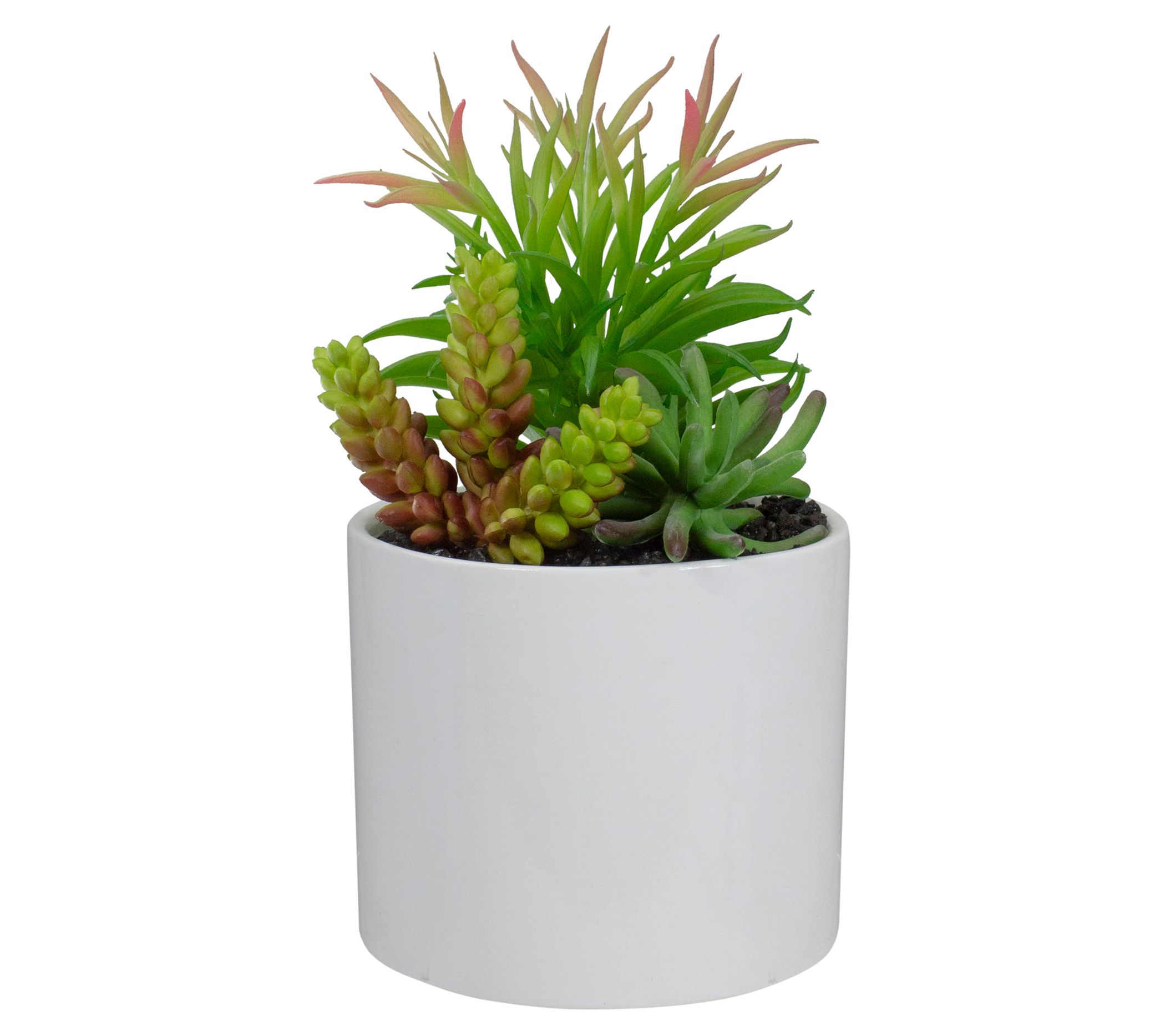 Northlight 9" Artificial Succulent Arrangementin Ceramic Pot