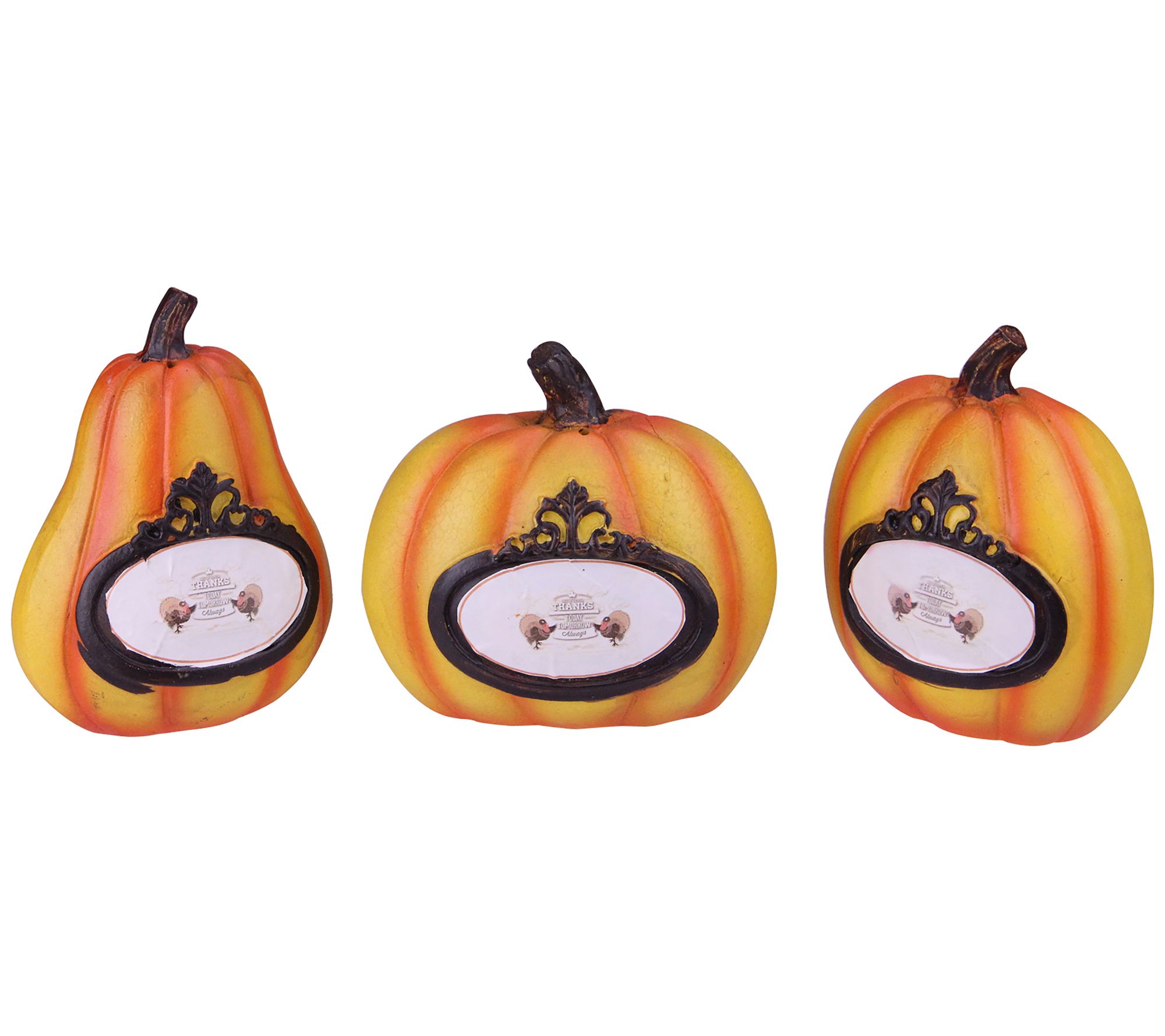 Northlight Set of 3 Giving Thanks Table Top Pumpkins