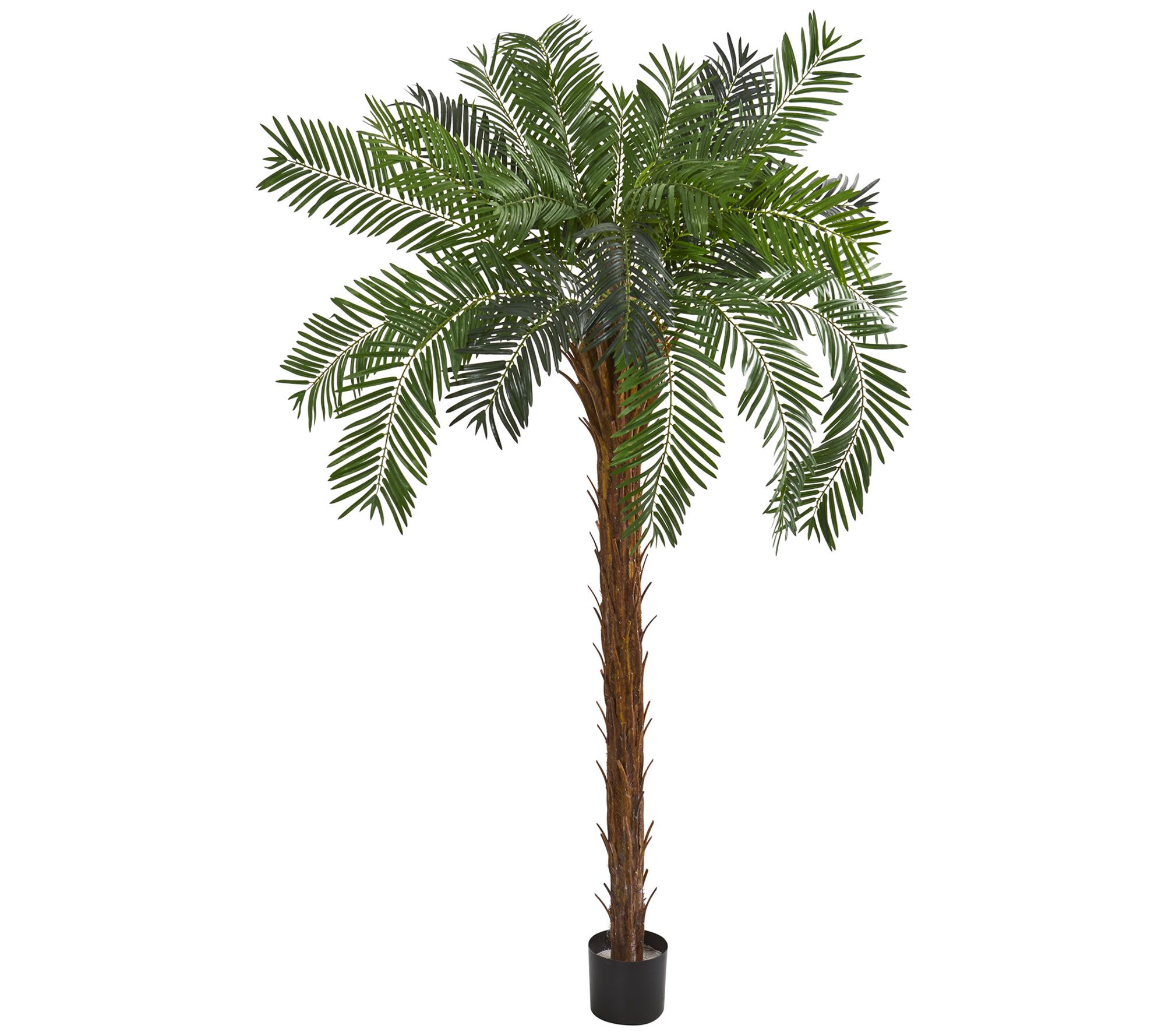 7' Cycas Palm Artificial Tree by Nearly Natural - QVC.com