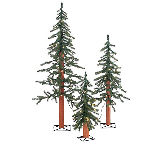 Pre-Lit Alpine Trees with Clear Lights, Set of3