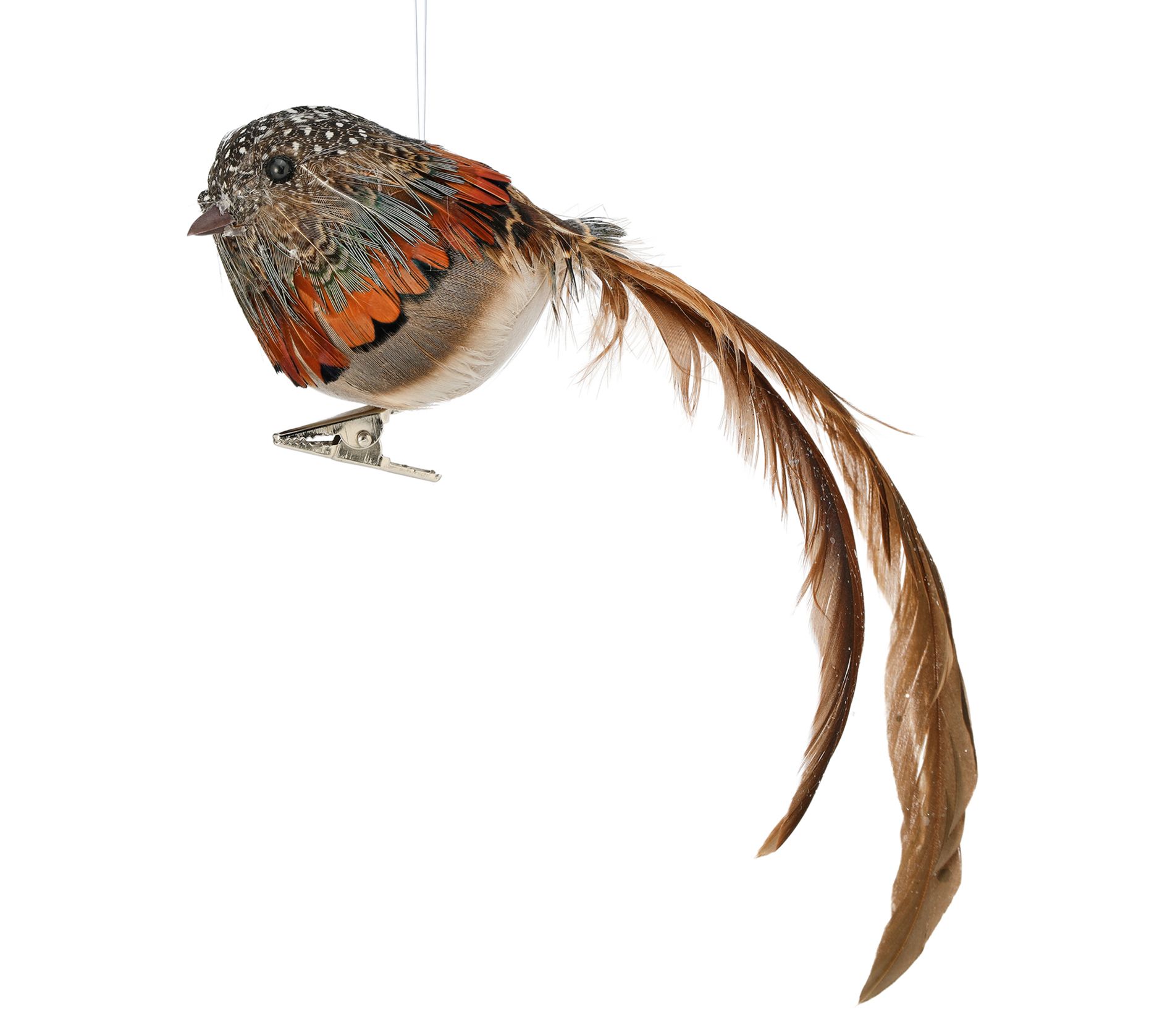 Valerie Parr Hill 8" Feather Bird Ornament Setf 12