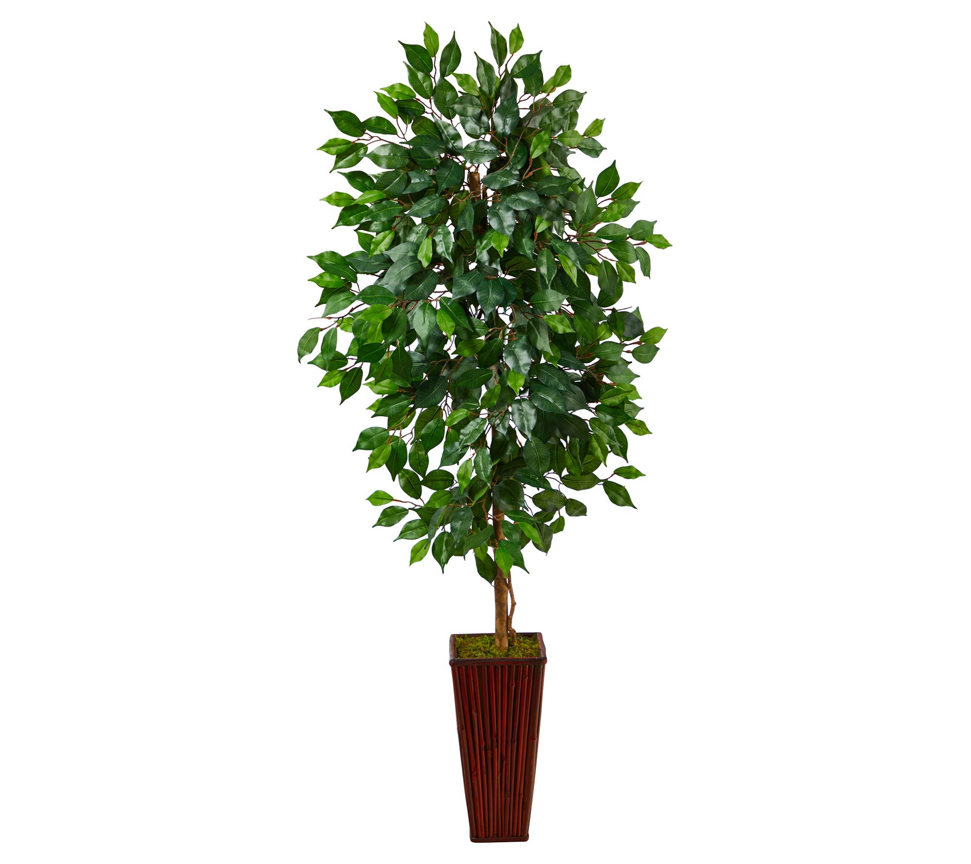 Nearly Natural 5' Ficus Artificial Tree in Bamboo Planter - QVC.com