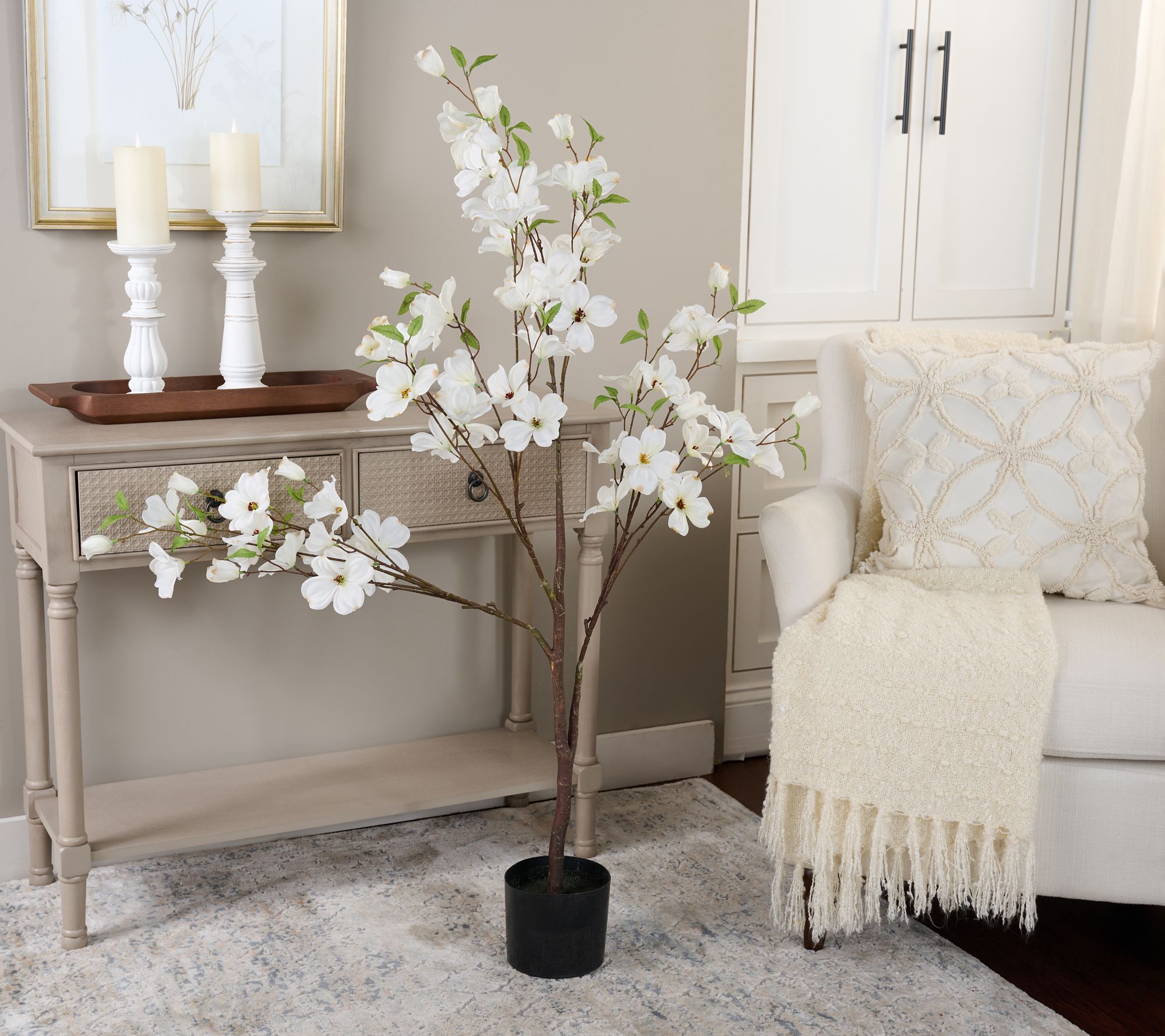 4' Dogwood Tree in Pot by Valerie
