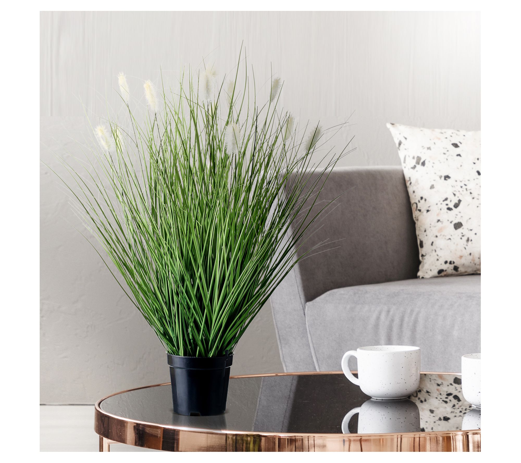 24" Potted Rabbit Tail Fountain Grass by Valerie