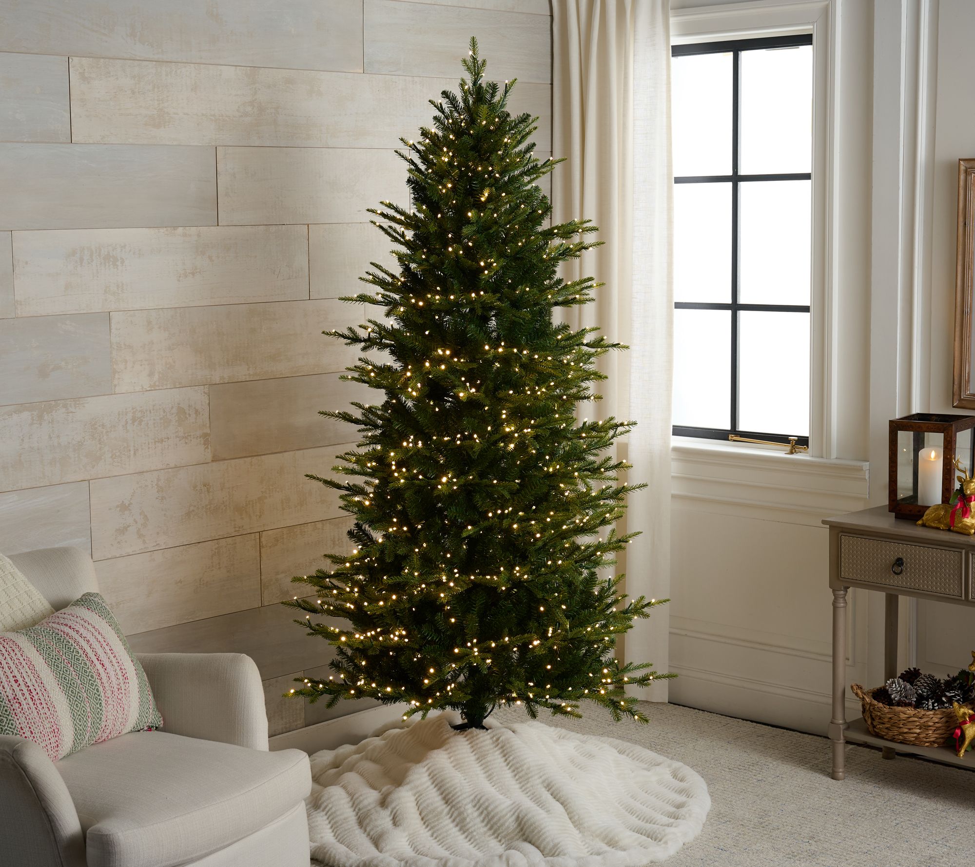 Bethlehem Lights x Alberti Popaj "Celebration" 5' Tree