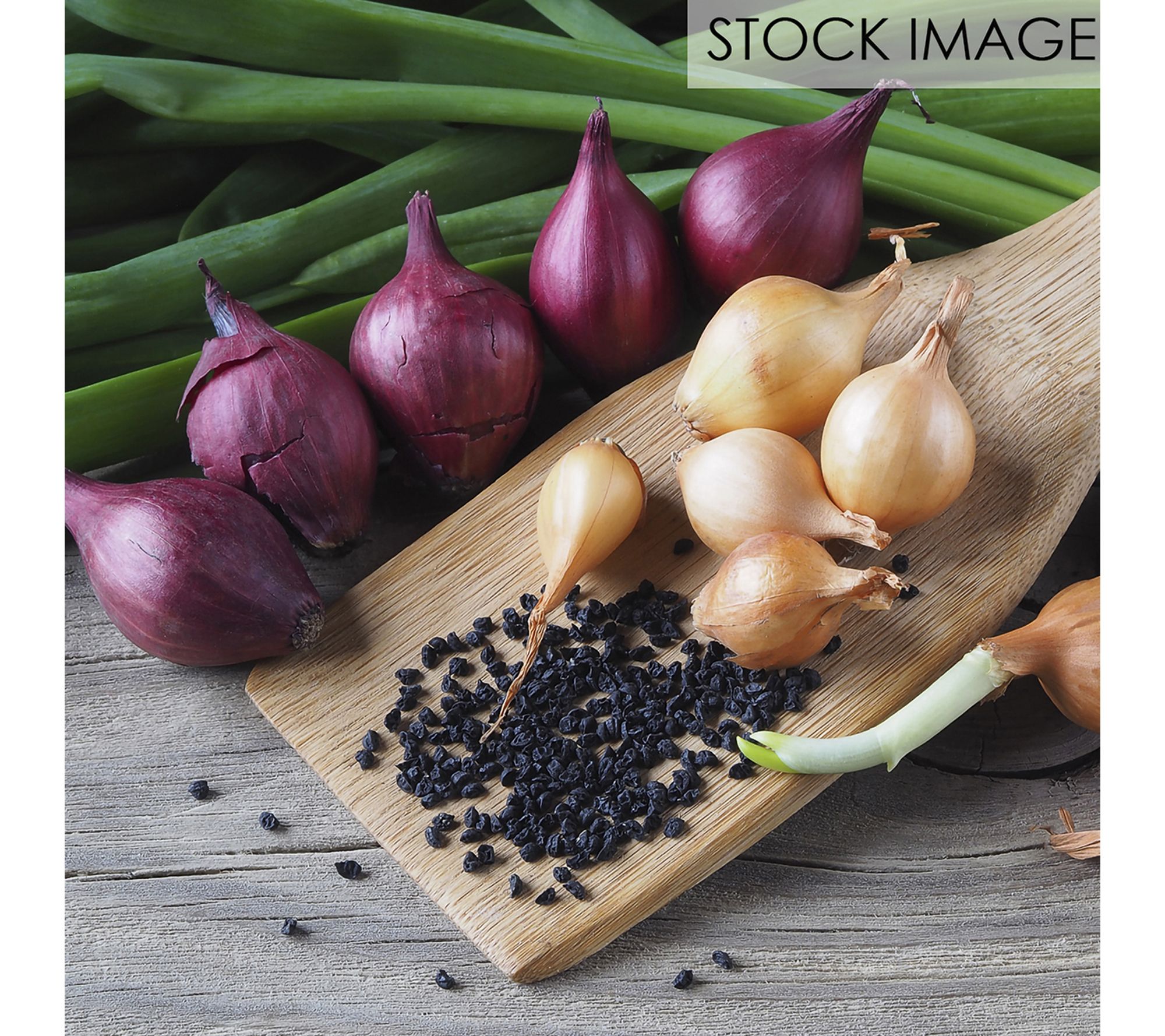 Van Zyverden Fresh Crop Shallots Medley Set of25 Bulbs