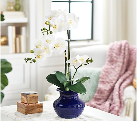 20" Orchid in Ceramic Pot by Valerie