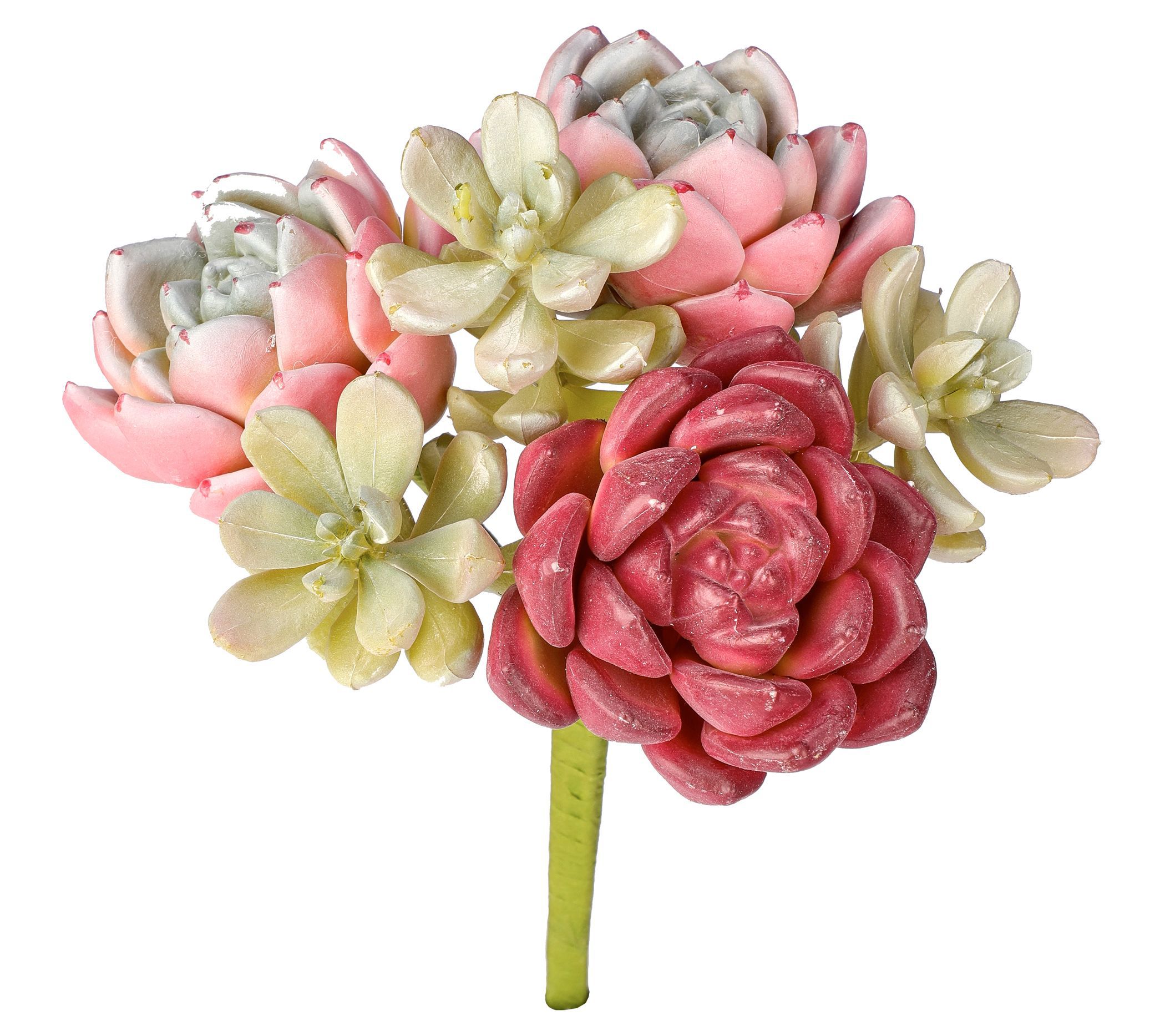 Summer Succulents Mixed Pick 8" by Valerie