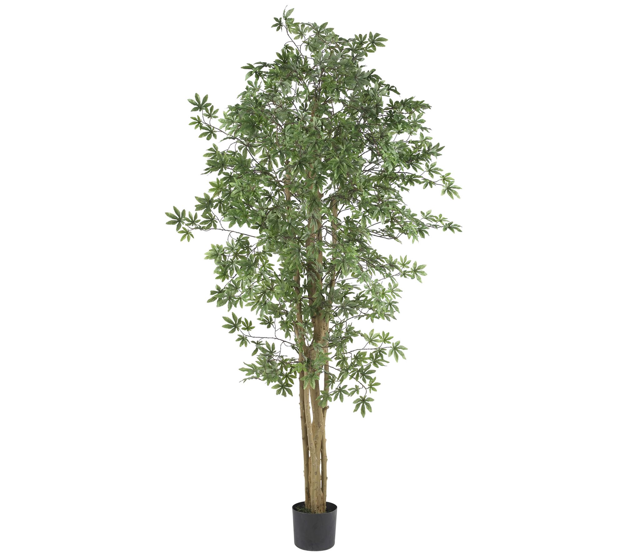 6' Japanese Maple Silk Tree by Nearly Natural - QVC.com