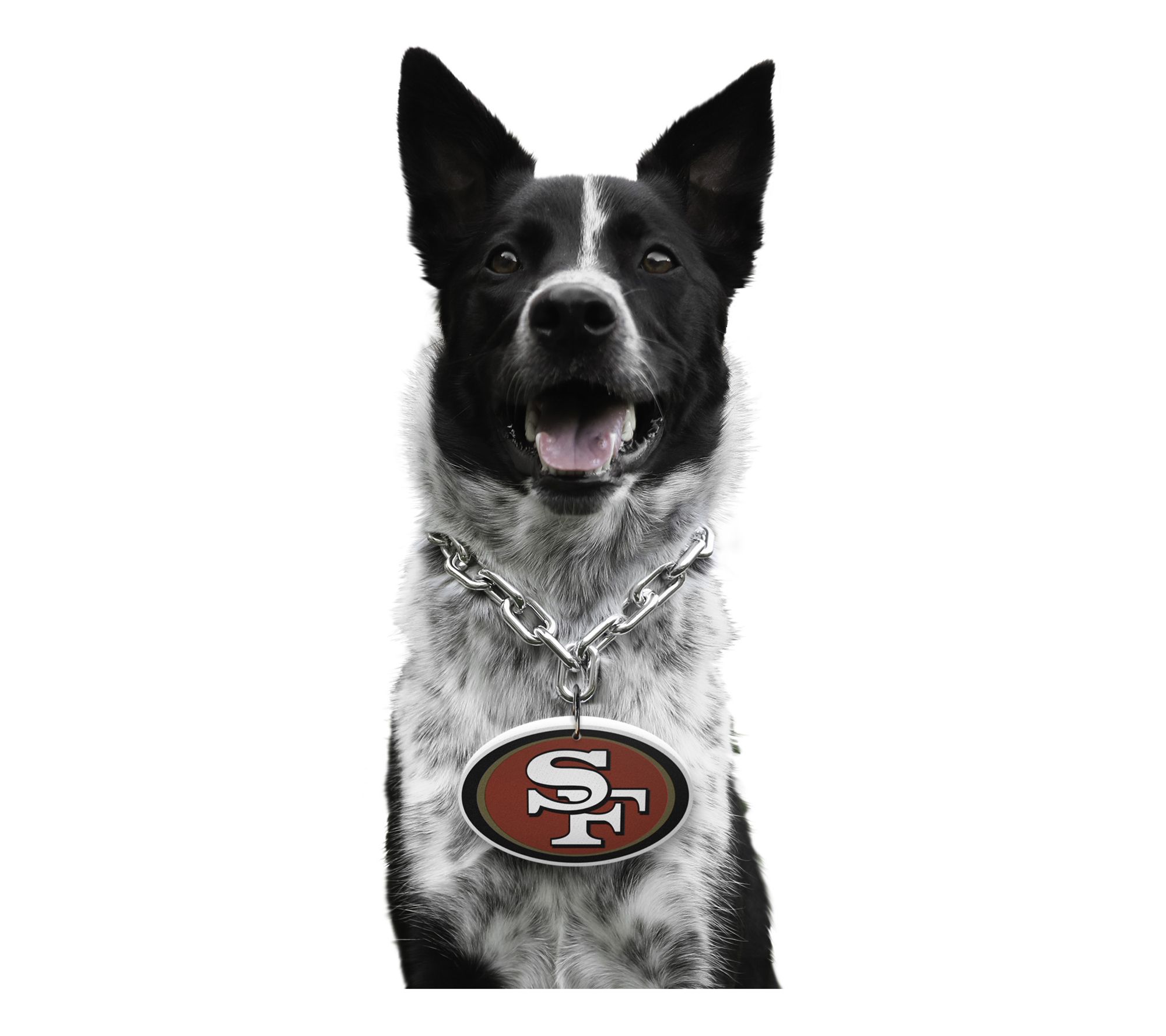 Littlearth NFL Pet Fan Chain