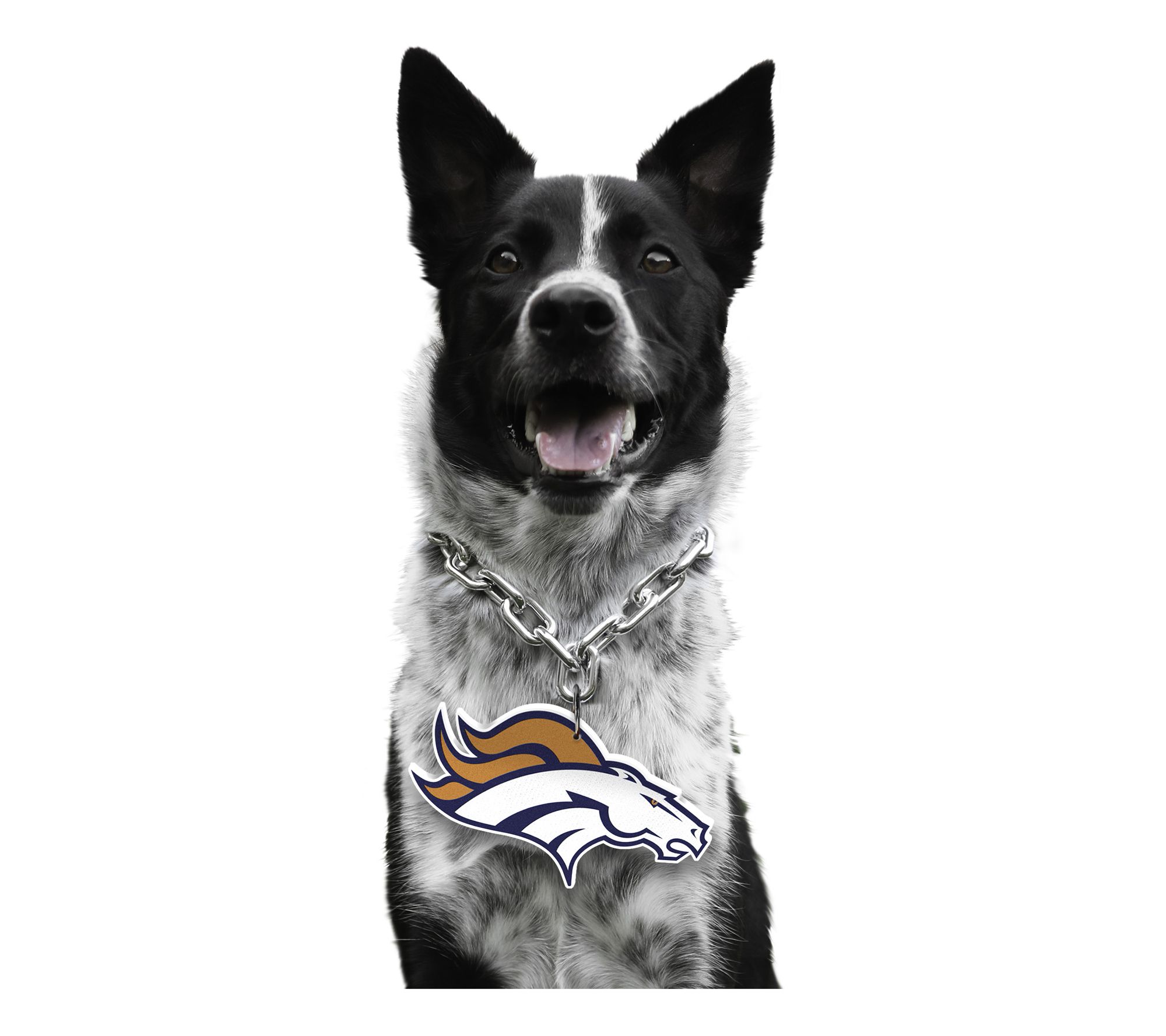 Littlearth NFL Pet Fan Chain