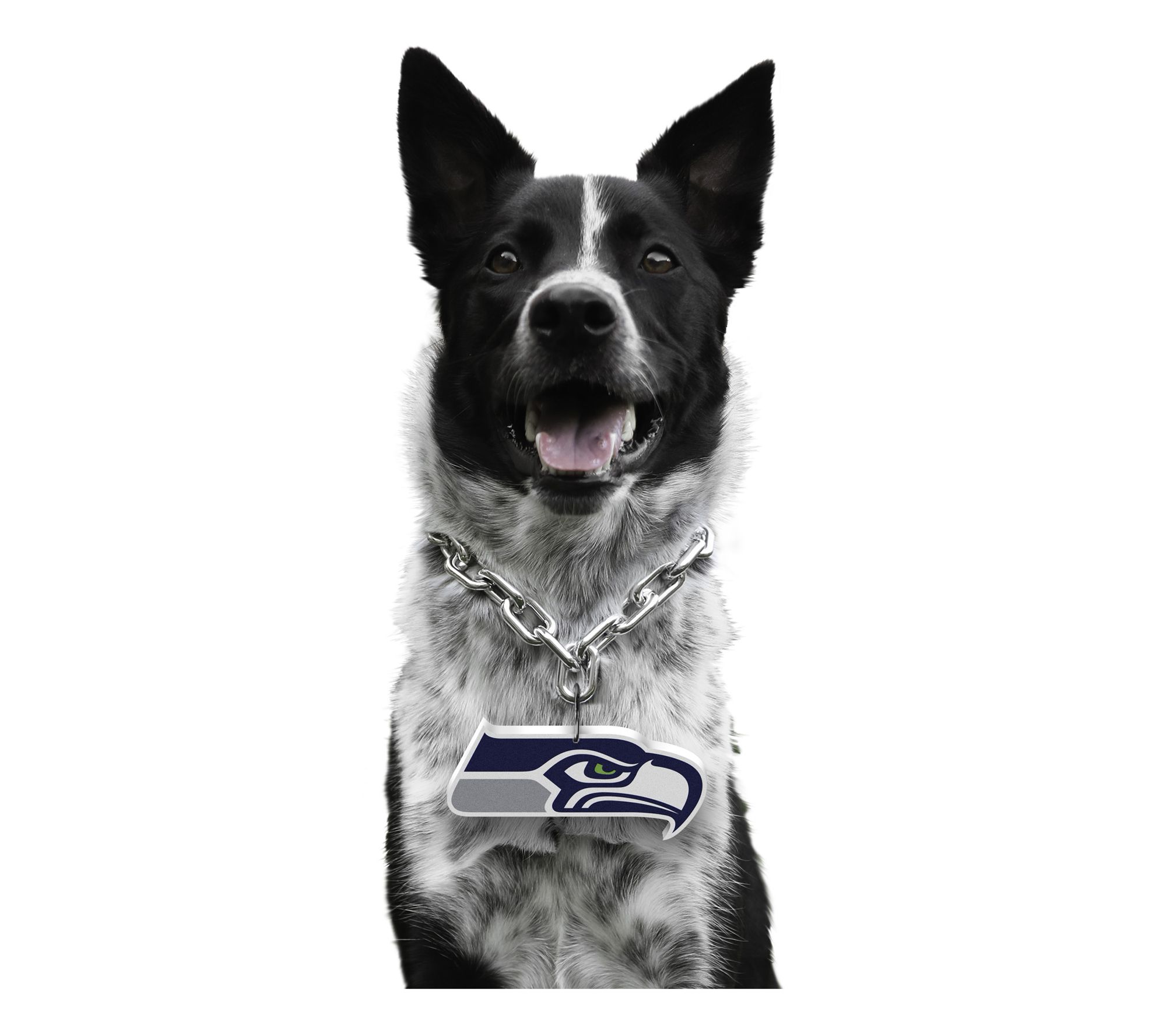 Littlearth NFL Pet Fan Chain