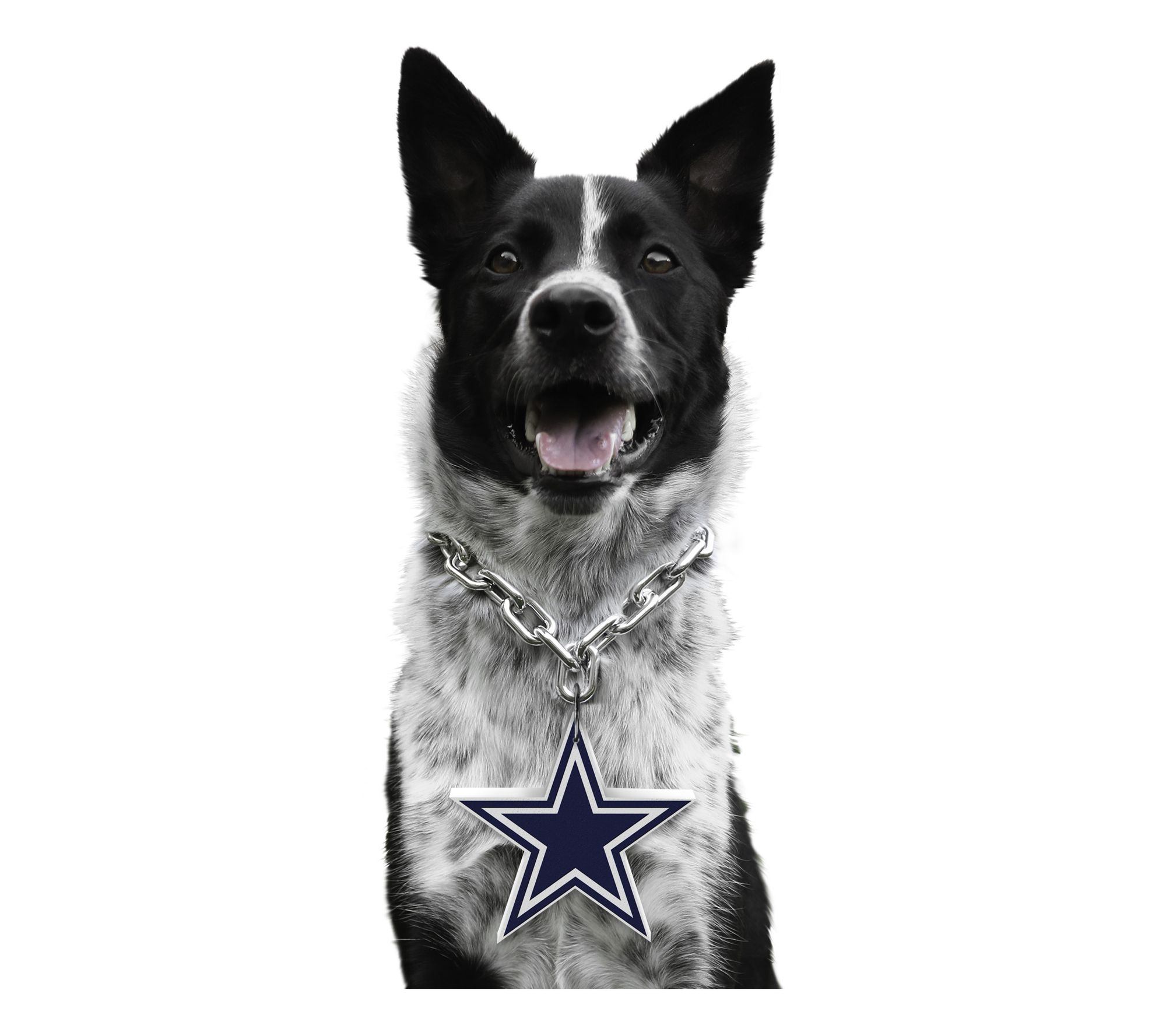 Littlearth NFL Pet Fan Chain