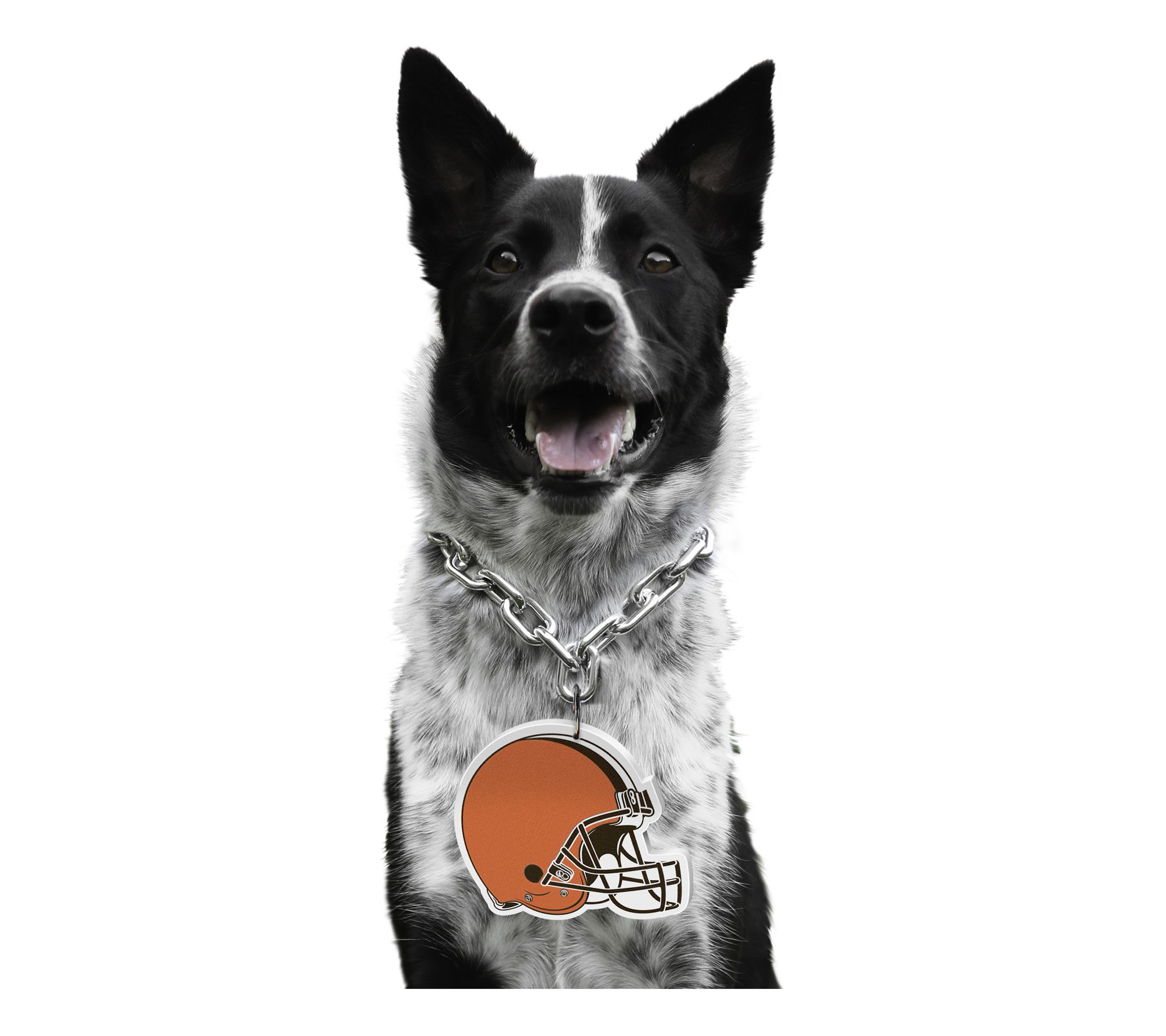 Littlearth NFL Pet Fan Chain