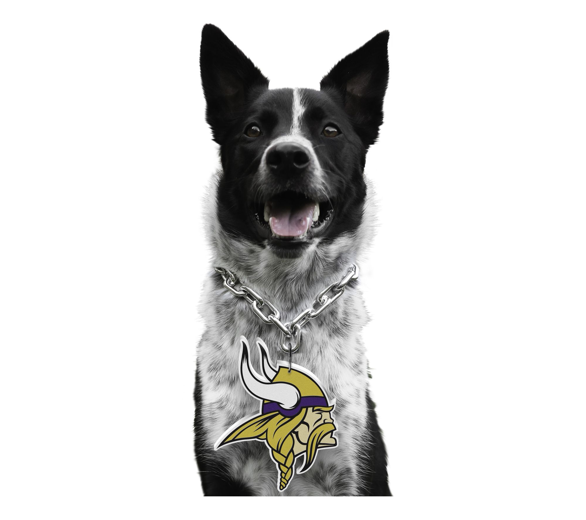 Littlearth NFL Pet Fan Chain