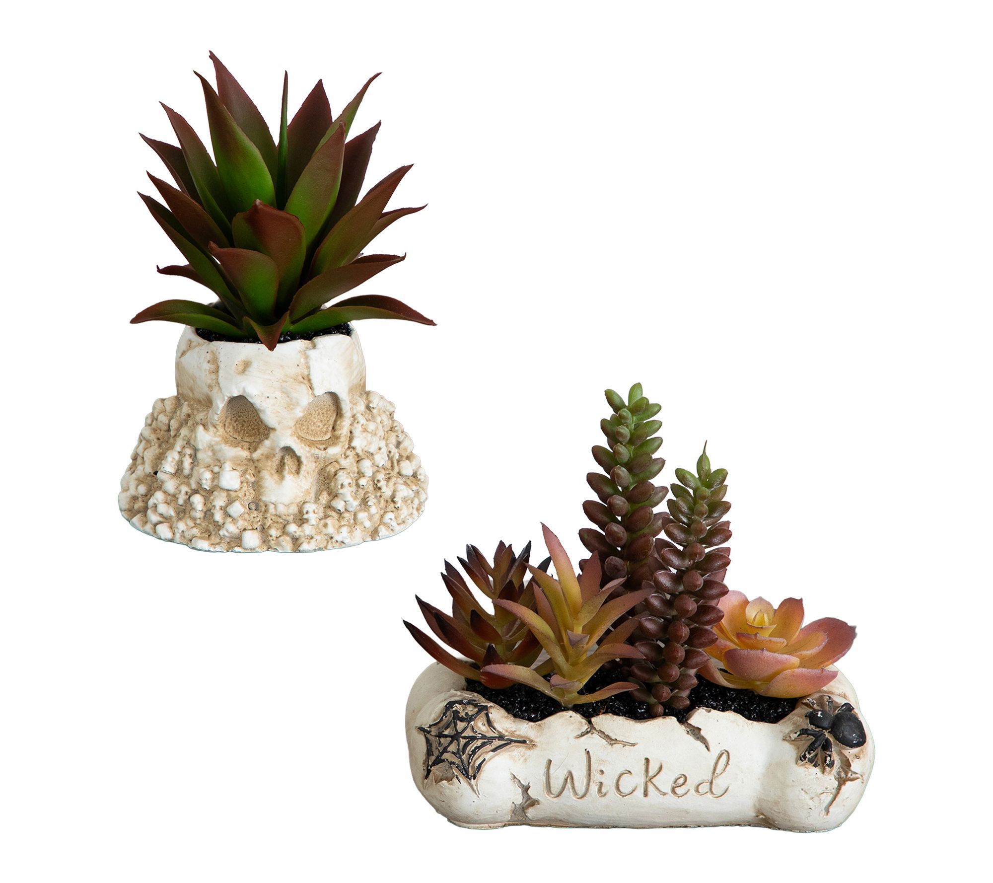 5-in Garden in Haunted Planter - Set of 2 by Nearly Natural