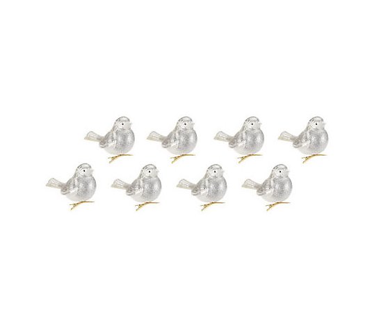 Set of 8 Mercury Glass Bird Ornaments with Clip by Valerie - QVC.com