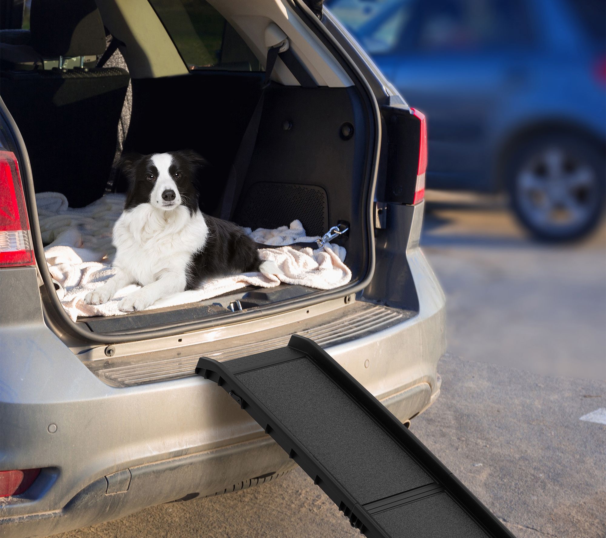 Petmaker Folding Non-Slip 61" Dog Ramp