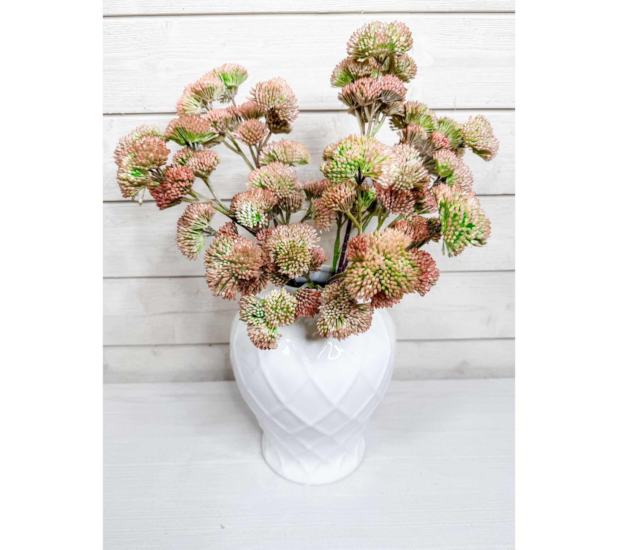 "As Is" Simply Stunning Set of 5 Pink Sedum by Janine Graff
