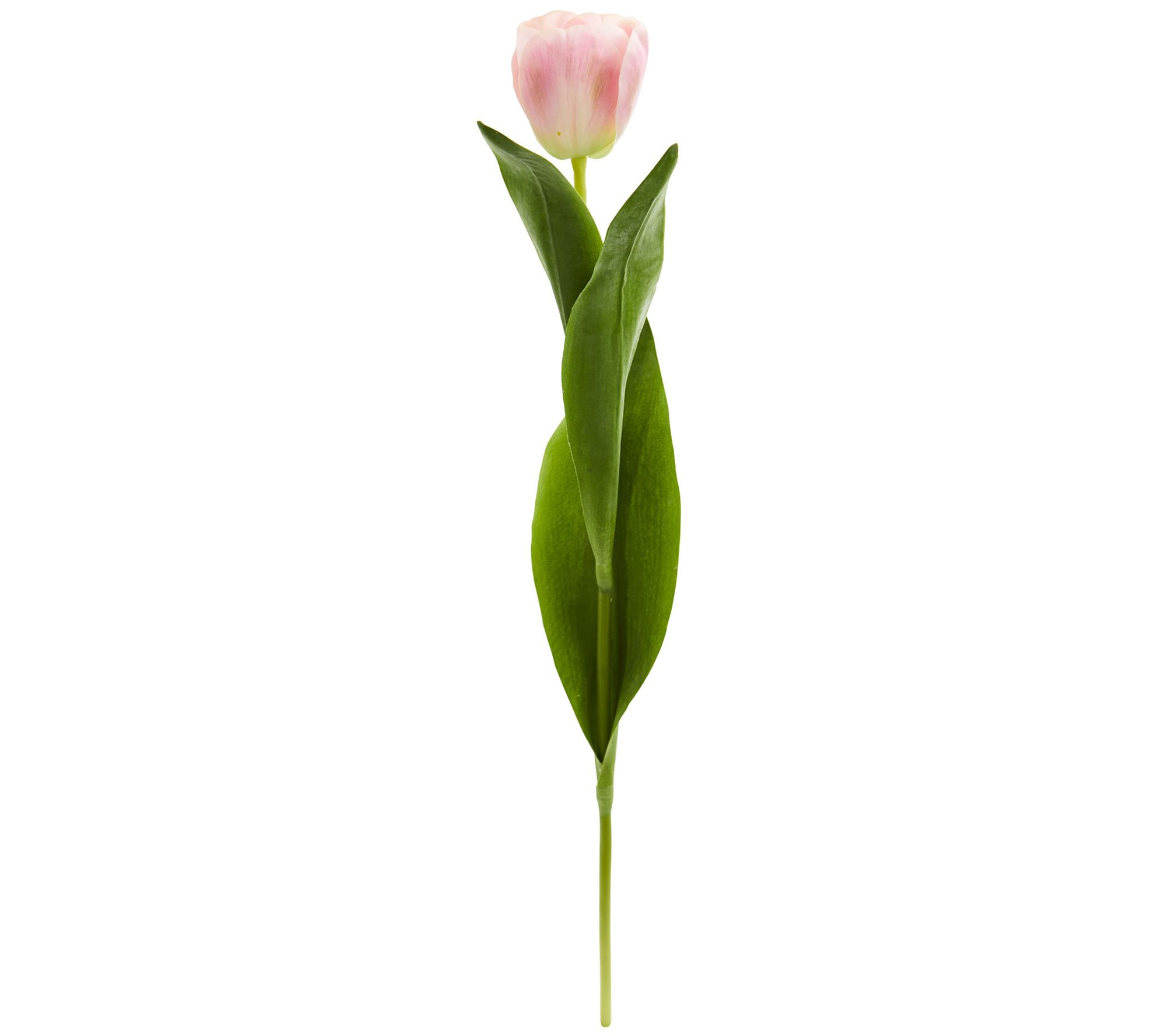 22" Tulip Artificial Flower (Set of 8) by Nearly Natural