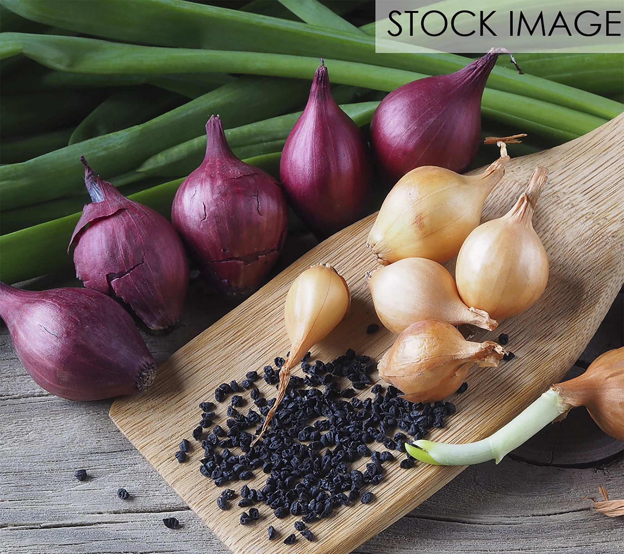 Van Zyverden Fresh Crop Shallot Medley Set of 25 Bulbs