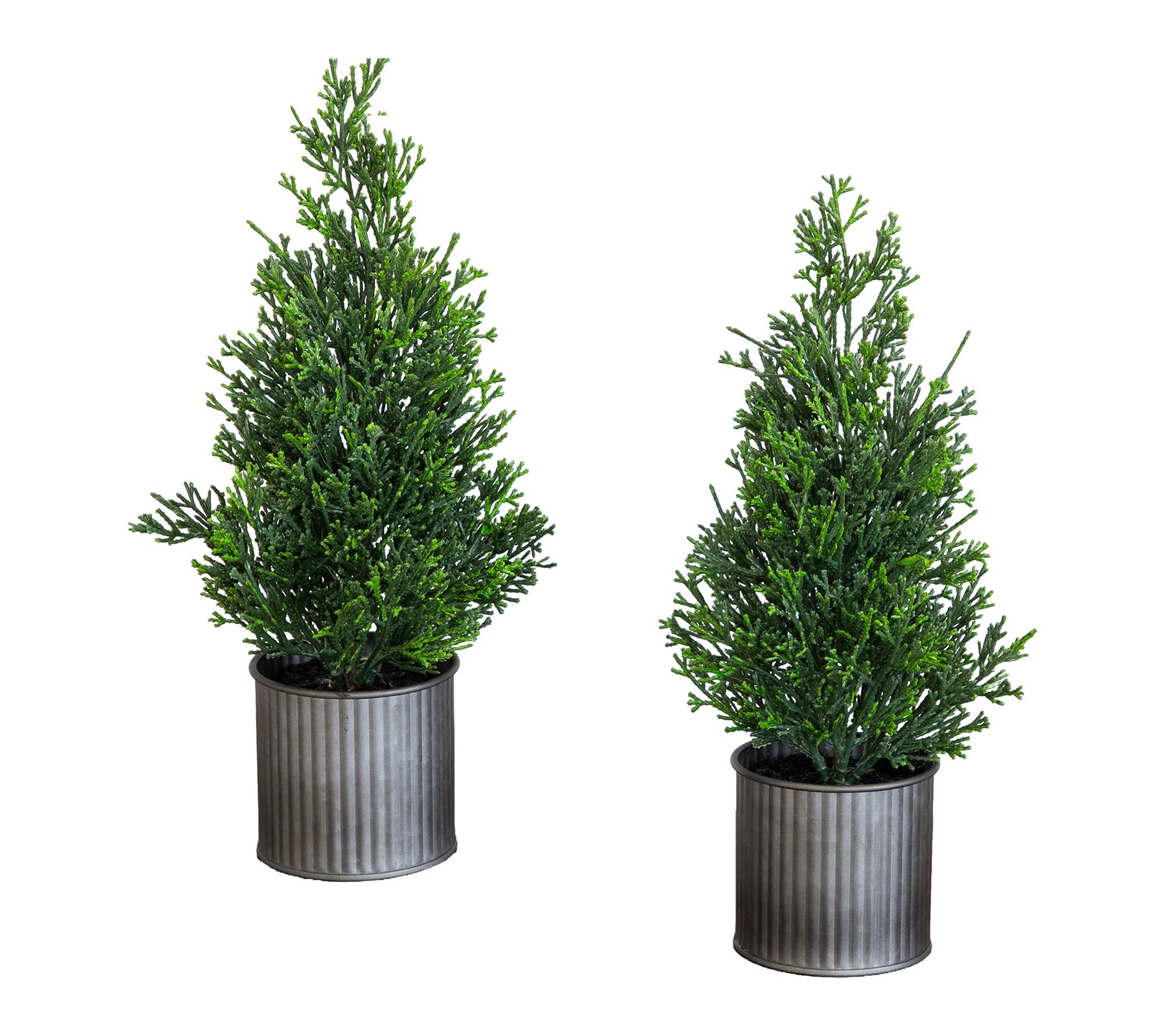 12-in Mini Cedar Pine Tree - Set of 2 by Nearly Natural