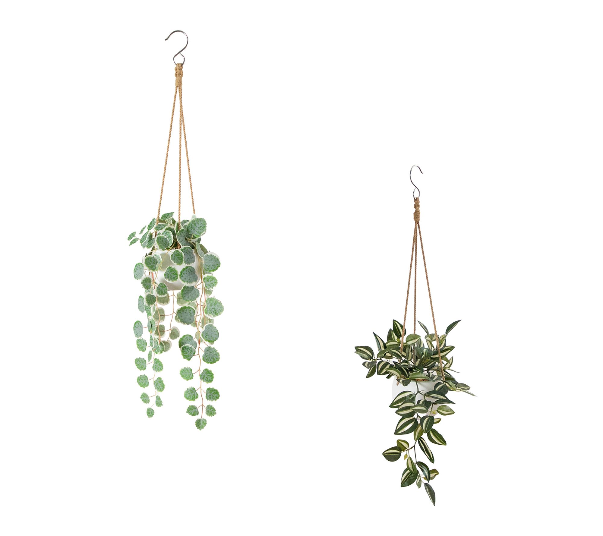 Artificial Hanging Arrangement - Set of 2 by Nearly Natural