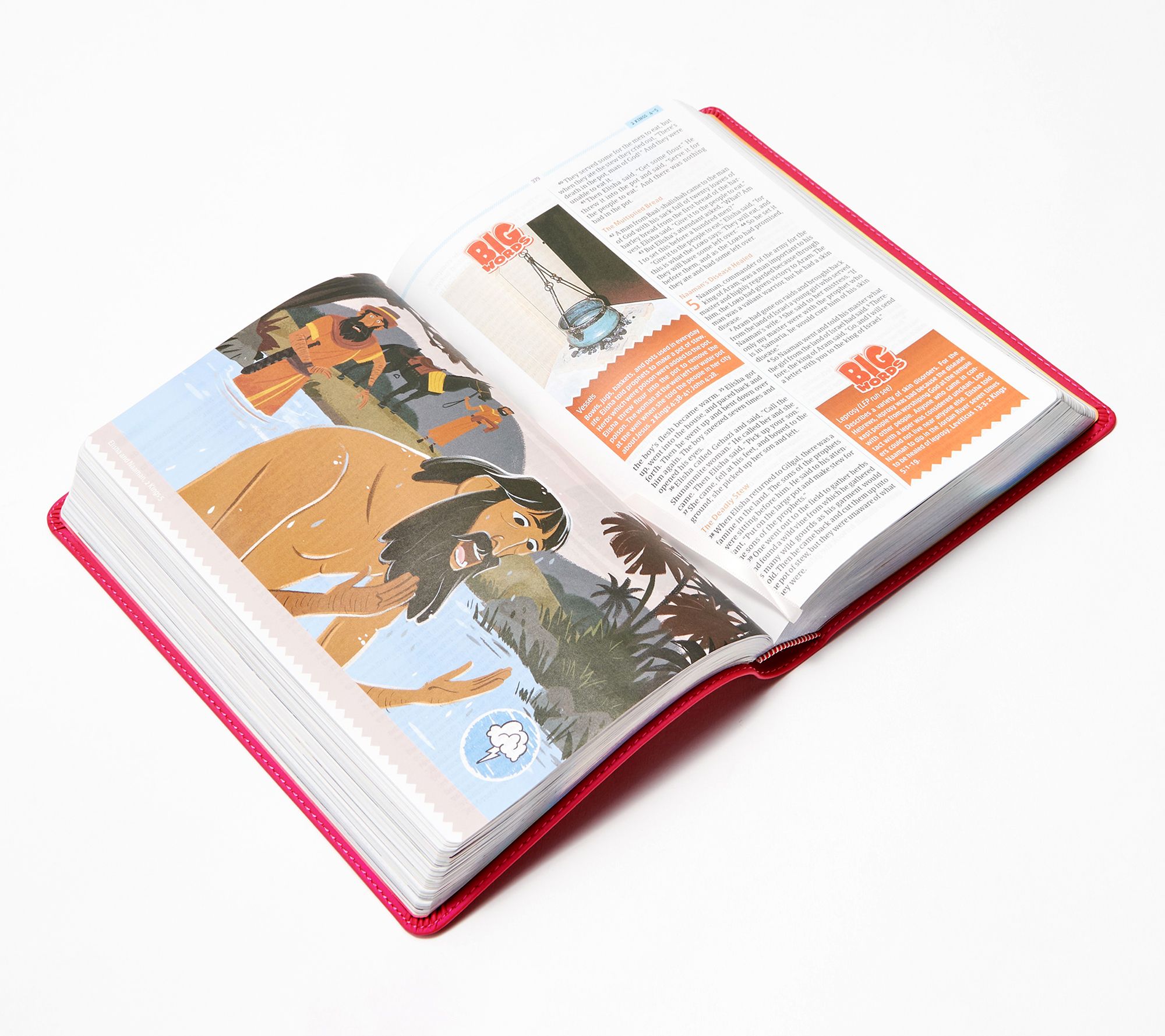 CSB One Big Story Childrens Bible with Faux Leather Cover - QVC.com