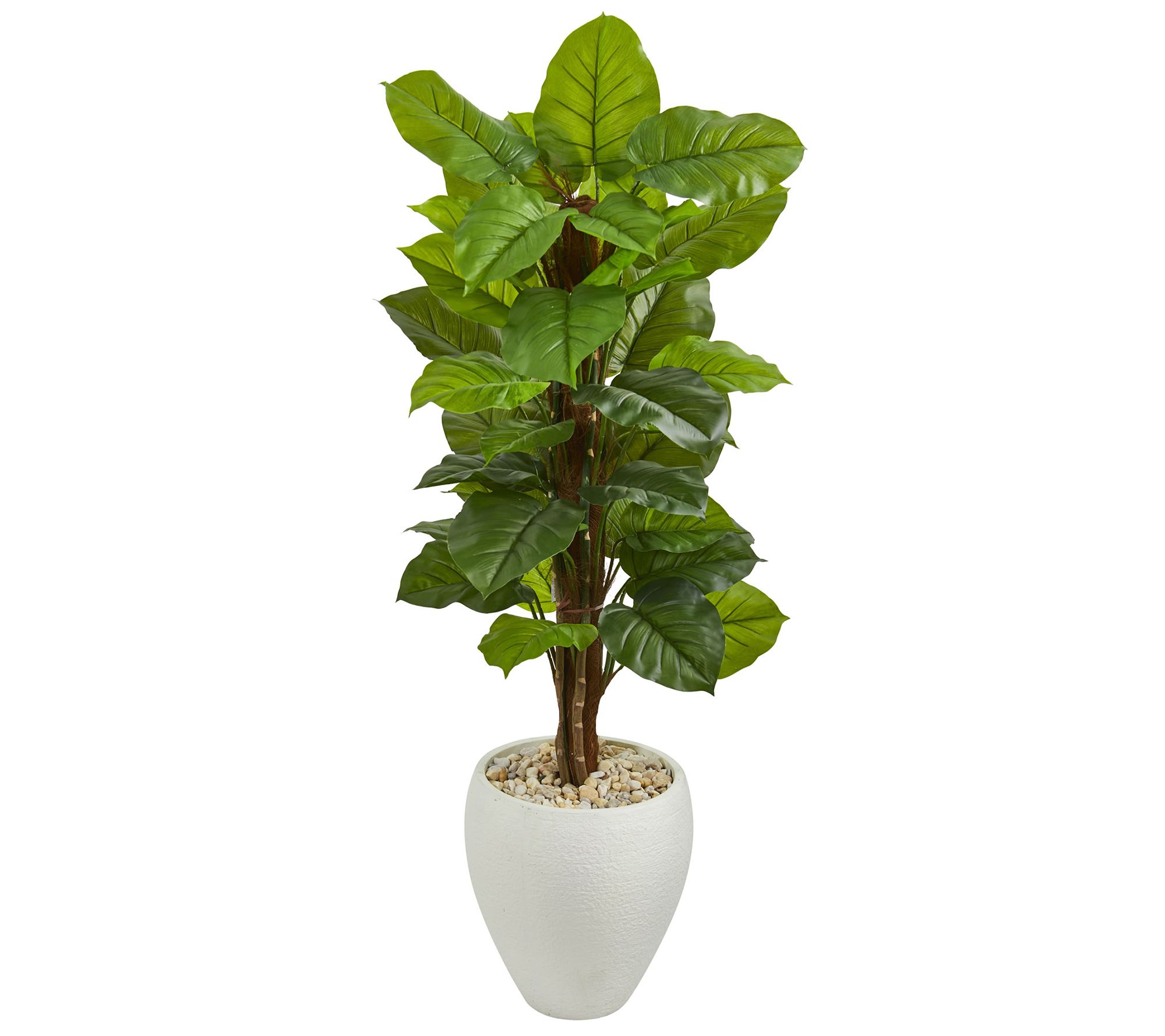 5' Large Leaf Philodendron in Planter by Nearly Natural - QVC.com