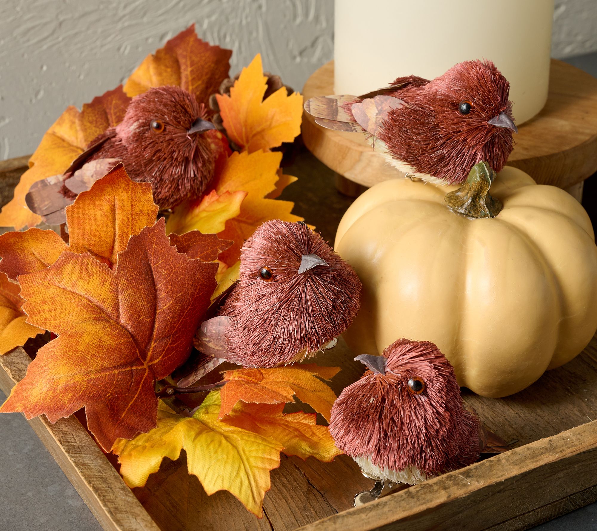 "As Is" Set of 8 Harvest Sisal Bird Clips by Valerie
