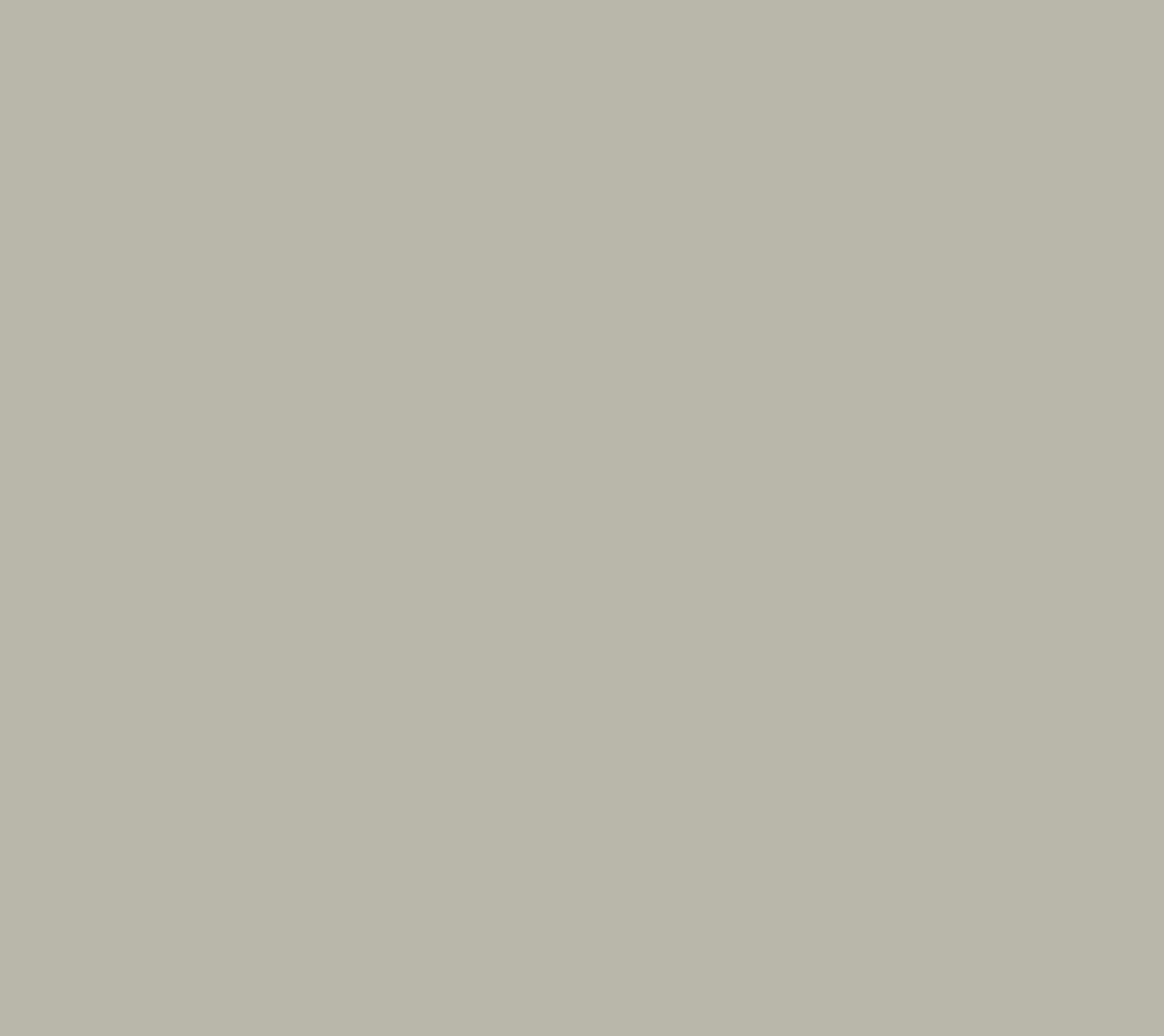 Snow Spruce