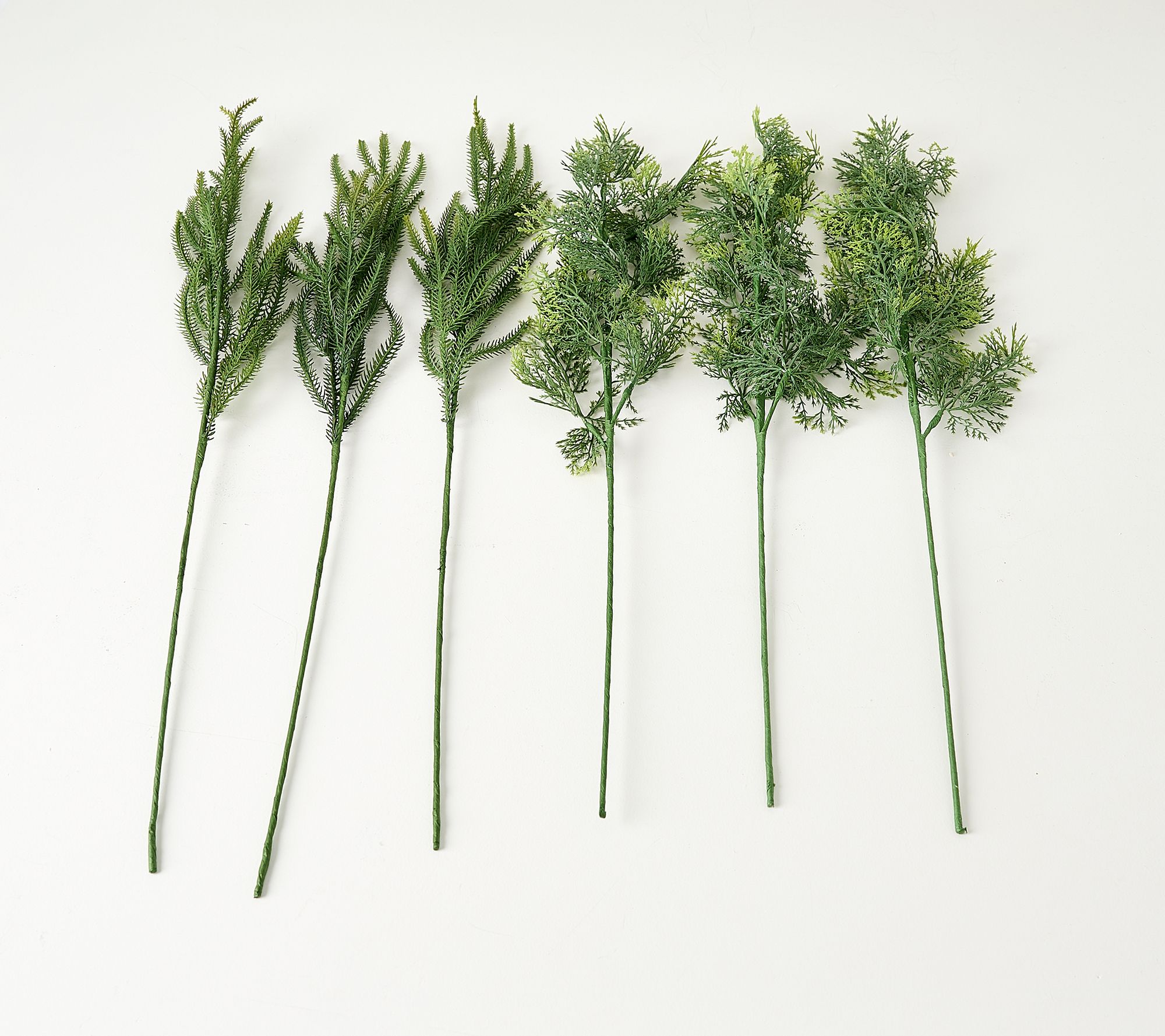 Presley Pierce Set of 6 Norfolk & Cypress Stems