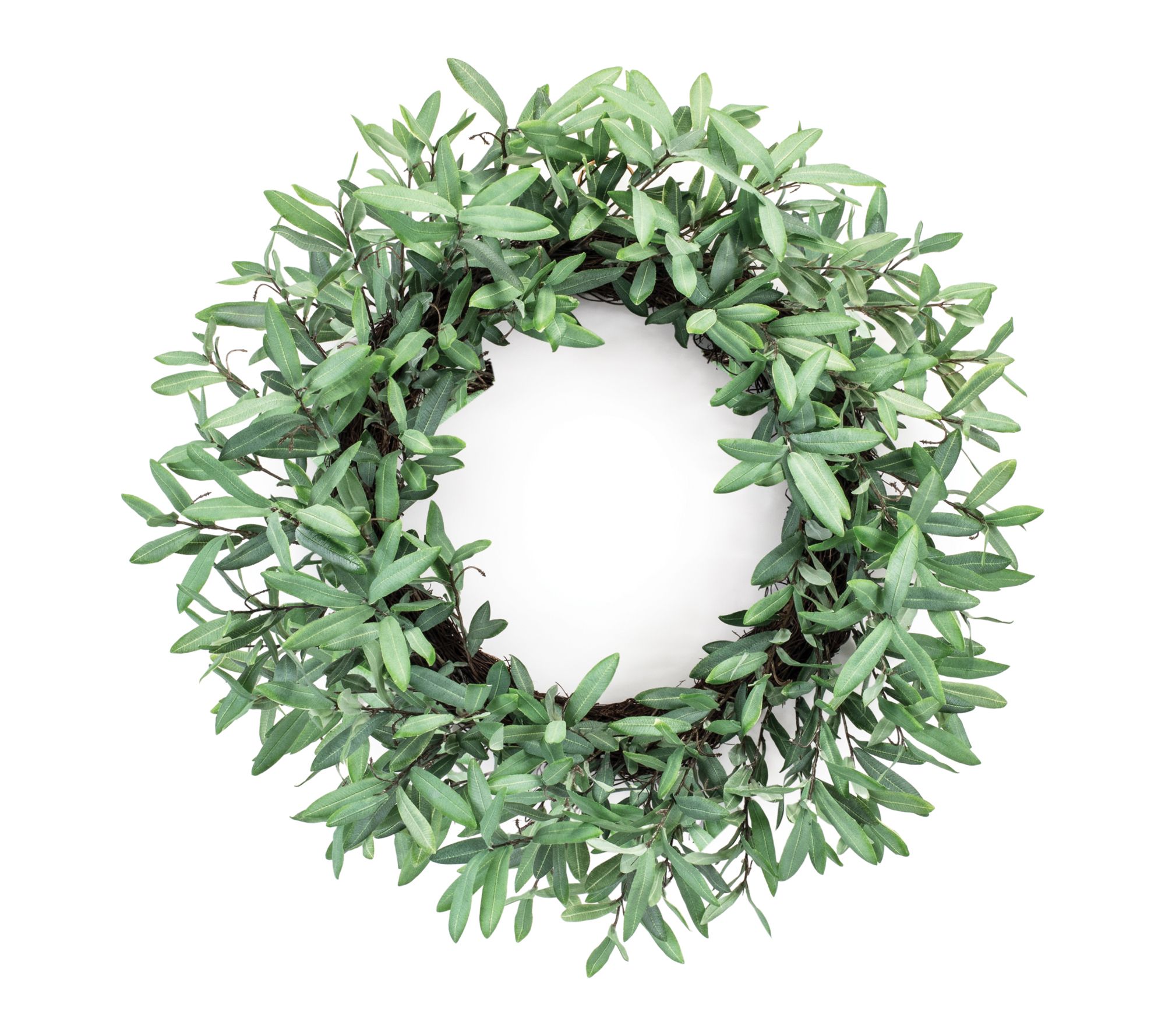 Melrose International Olive Leaf Foliage Wreath29"D