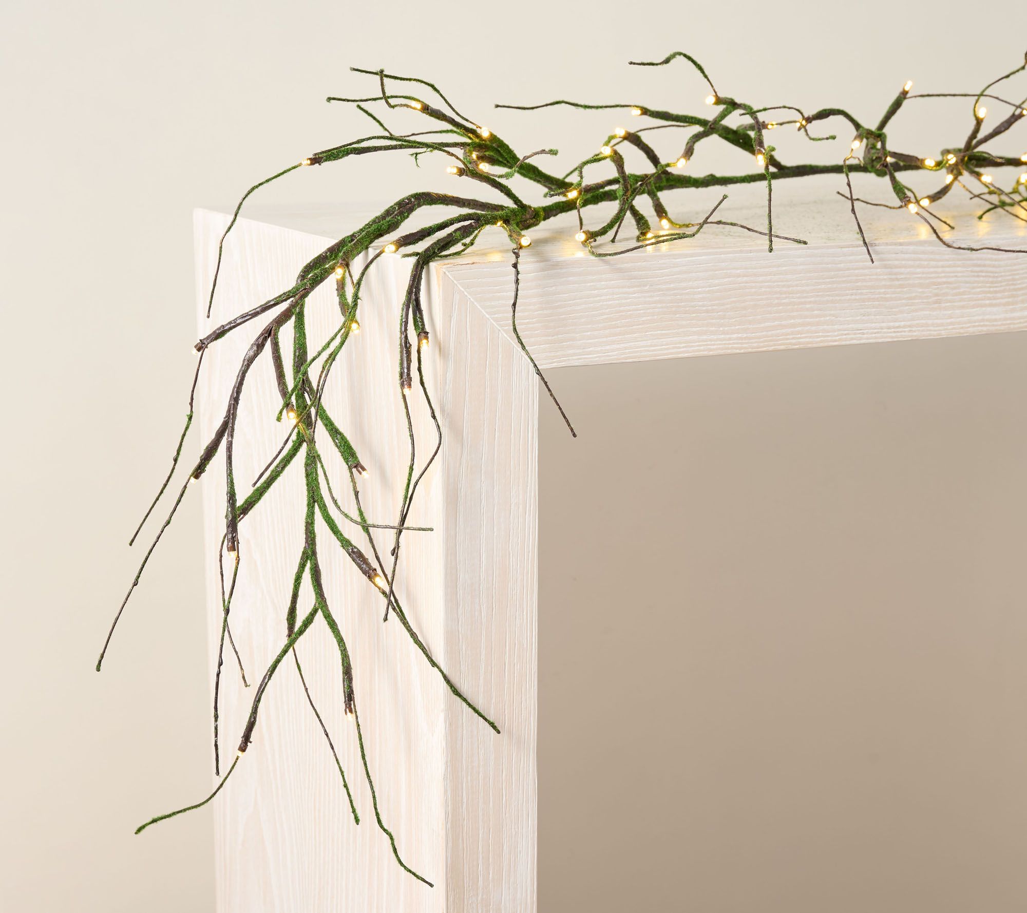 Martha Stewart 6' Illuminated Moss Branch Garland