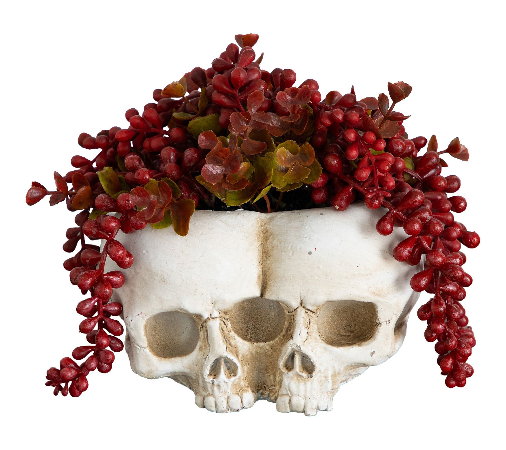 6-in String of Pearls in Double Skull Planter by Nearly Natural