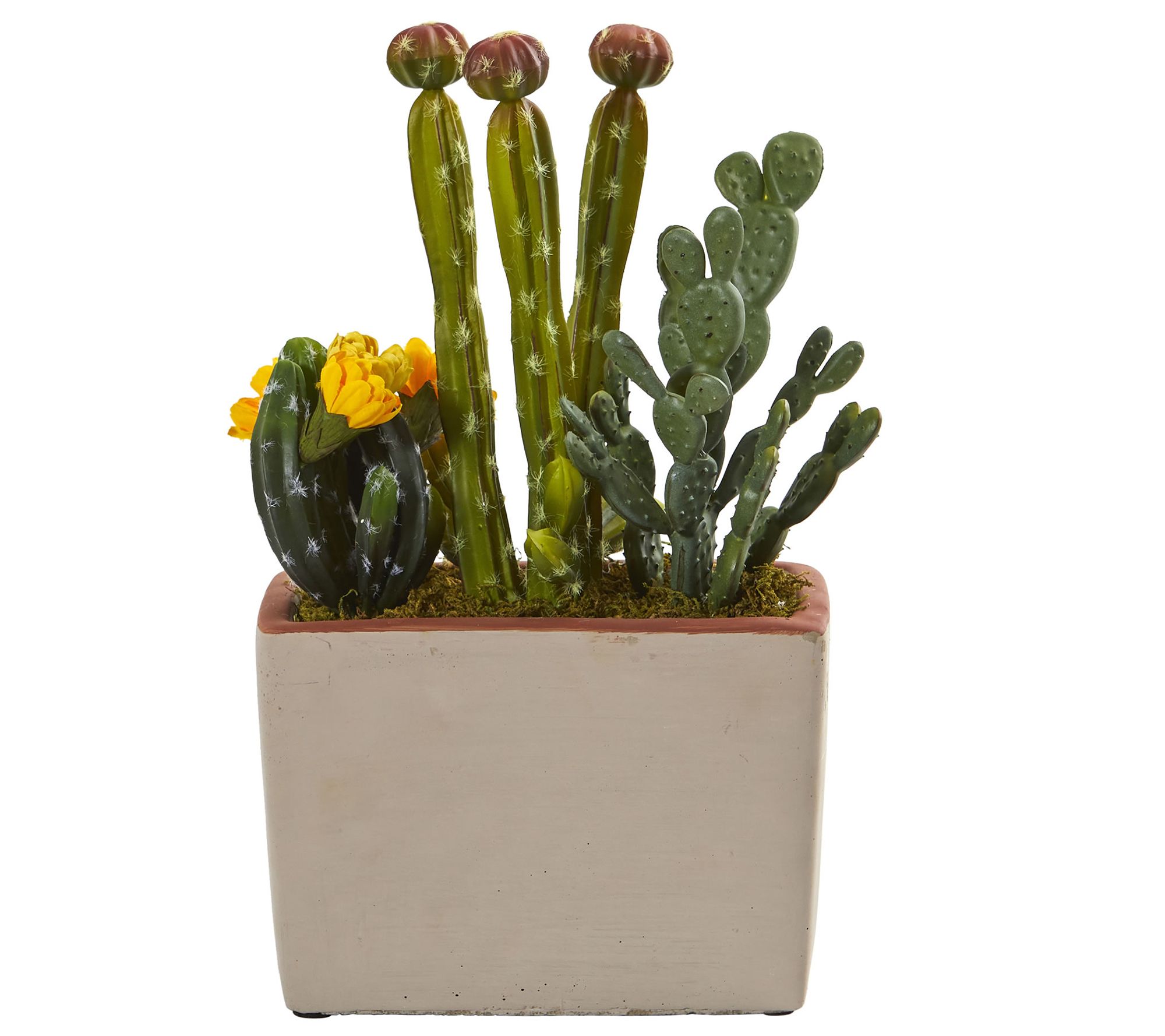 Mixed Cactus Artificial Plant with Planter by Nearly Natural
