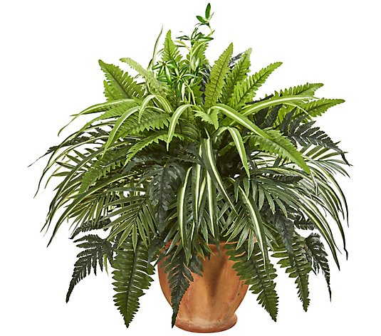 Mixed Greens/Fern Plant/Terra Cotta Planter byNearly Natural
