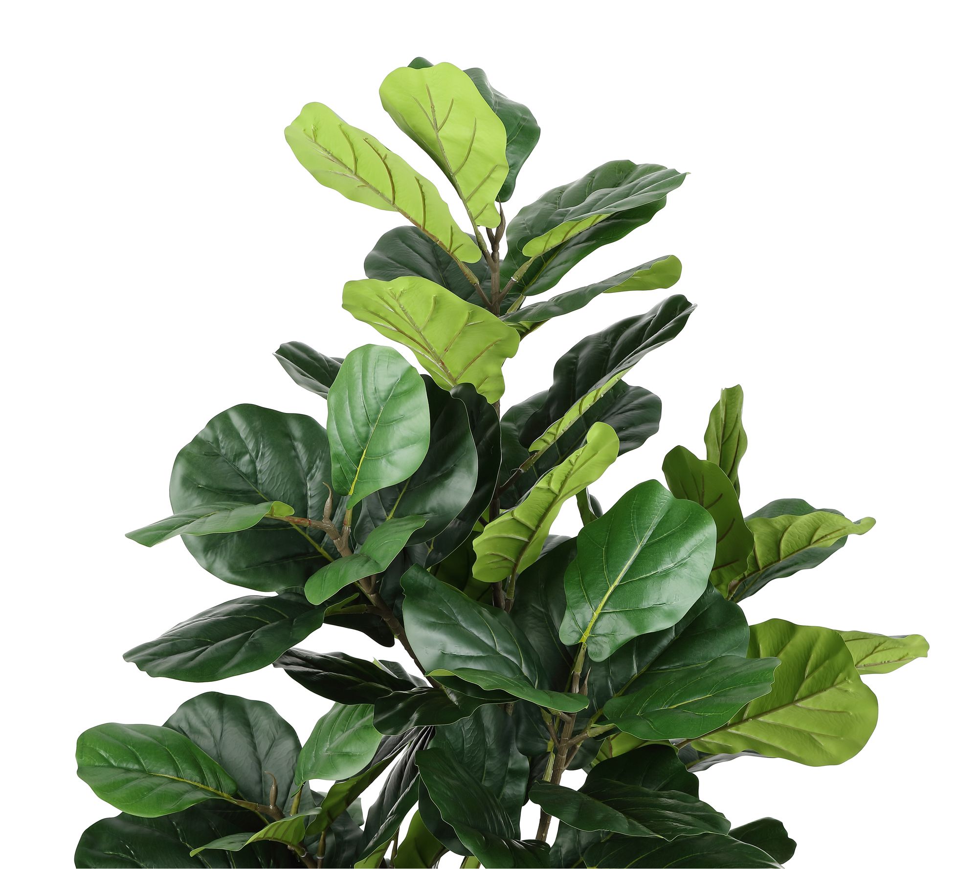 Safavieh Faux Fiddle Leaf Fig 50" Potted Tree