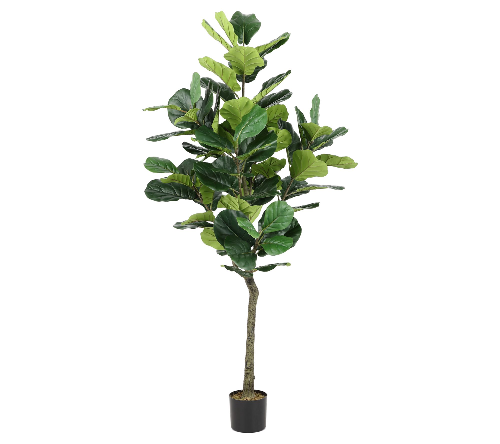 Safavieh Faux Fiddle Leaf Fig 50" Potted Tree