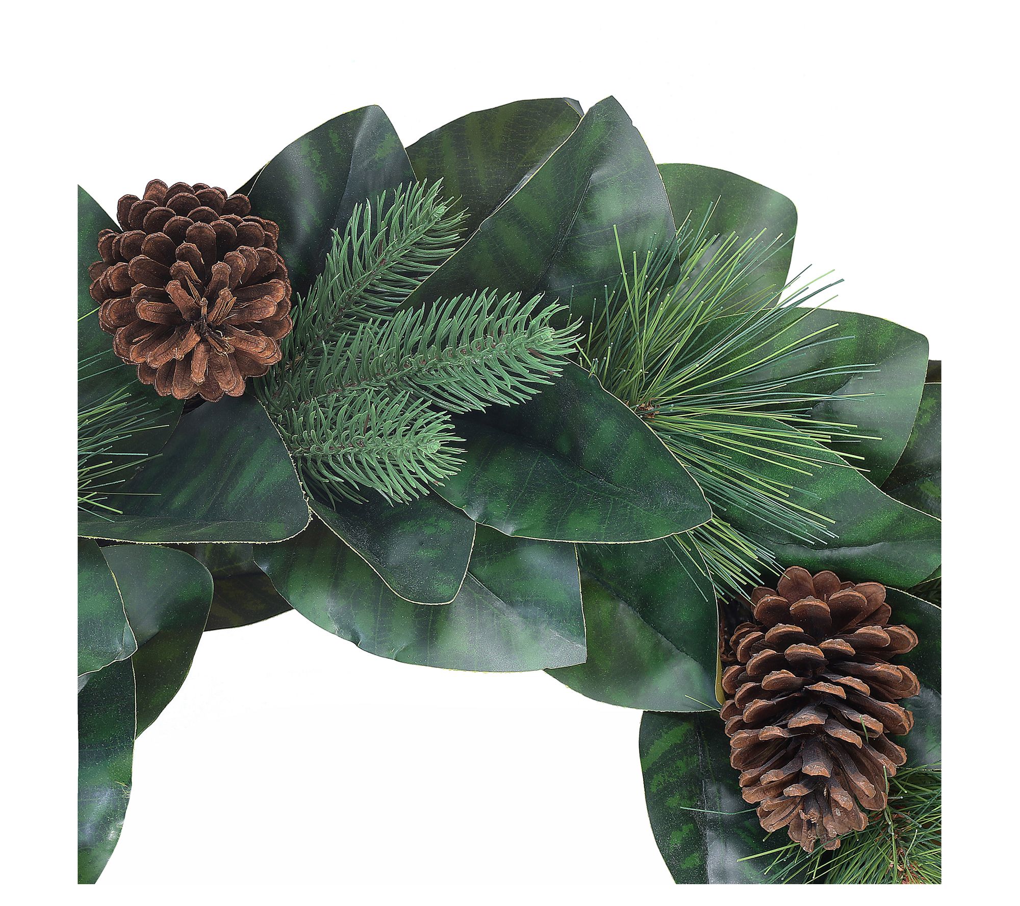 Pine Cones, 2 of