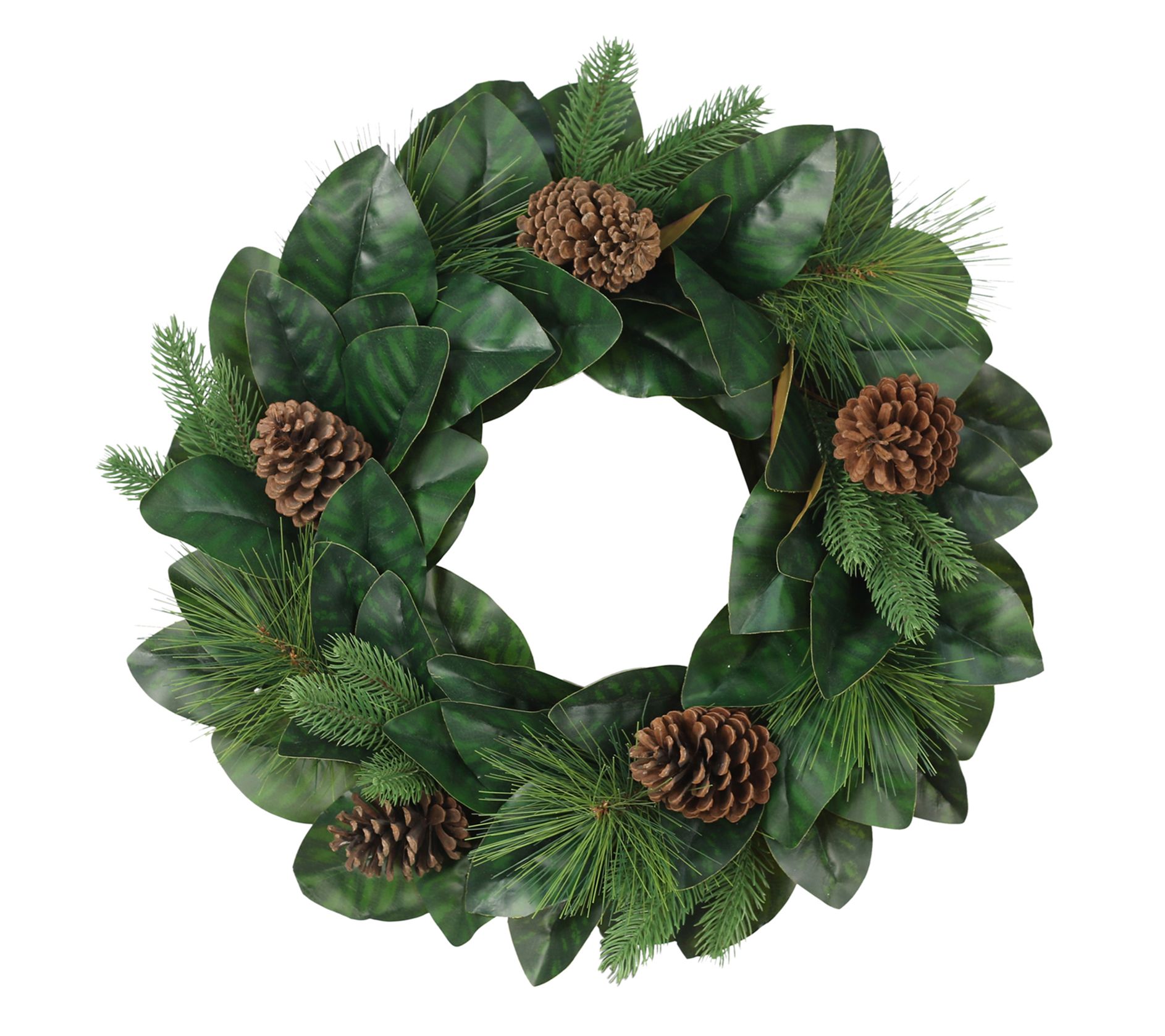 Puleo 24" Wreath with Magnolia Leaves & Pine Cones