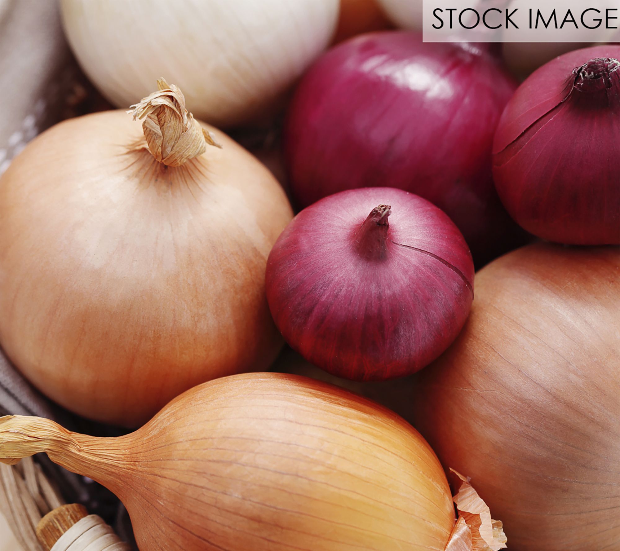 Van Zyverden Fresh Crop Onion Medley Set of 250Bulbs