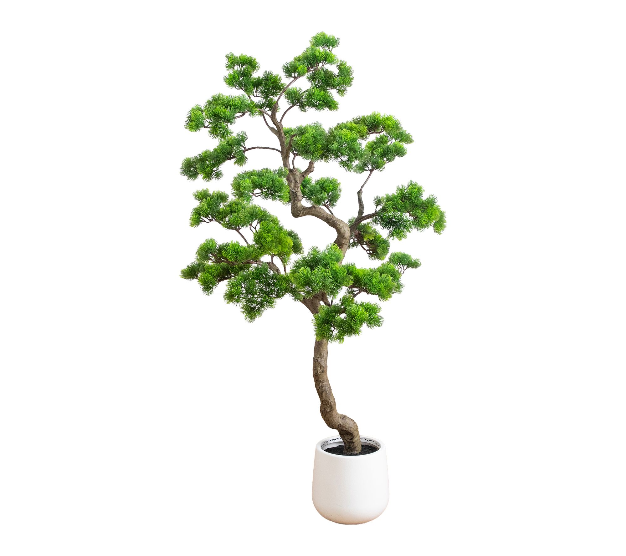 5-ft Bonsai Style Cedar Tree in Planter by Nearly Natural