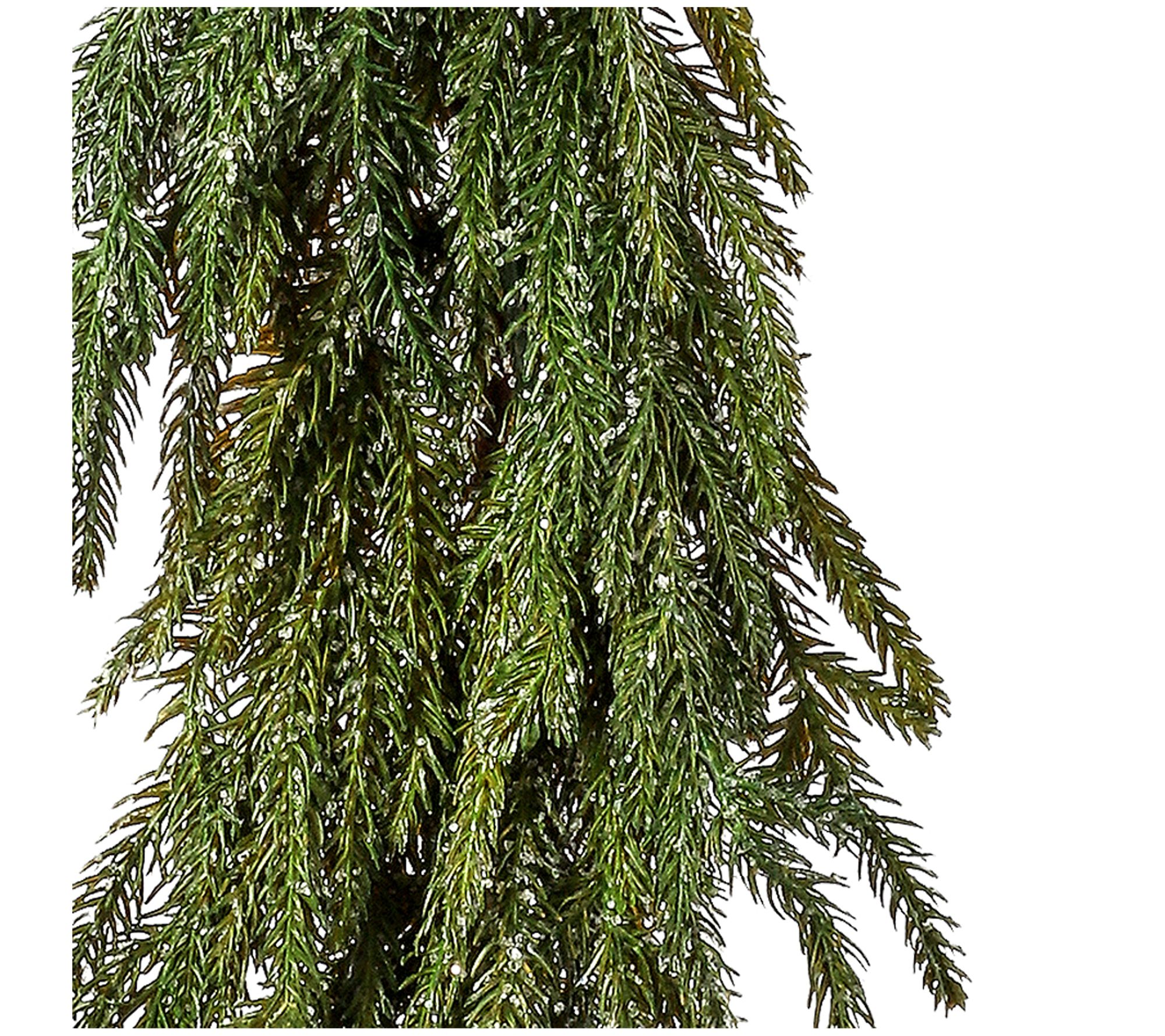 Norfolk pine garland